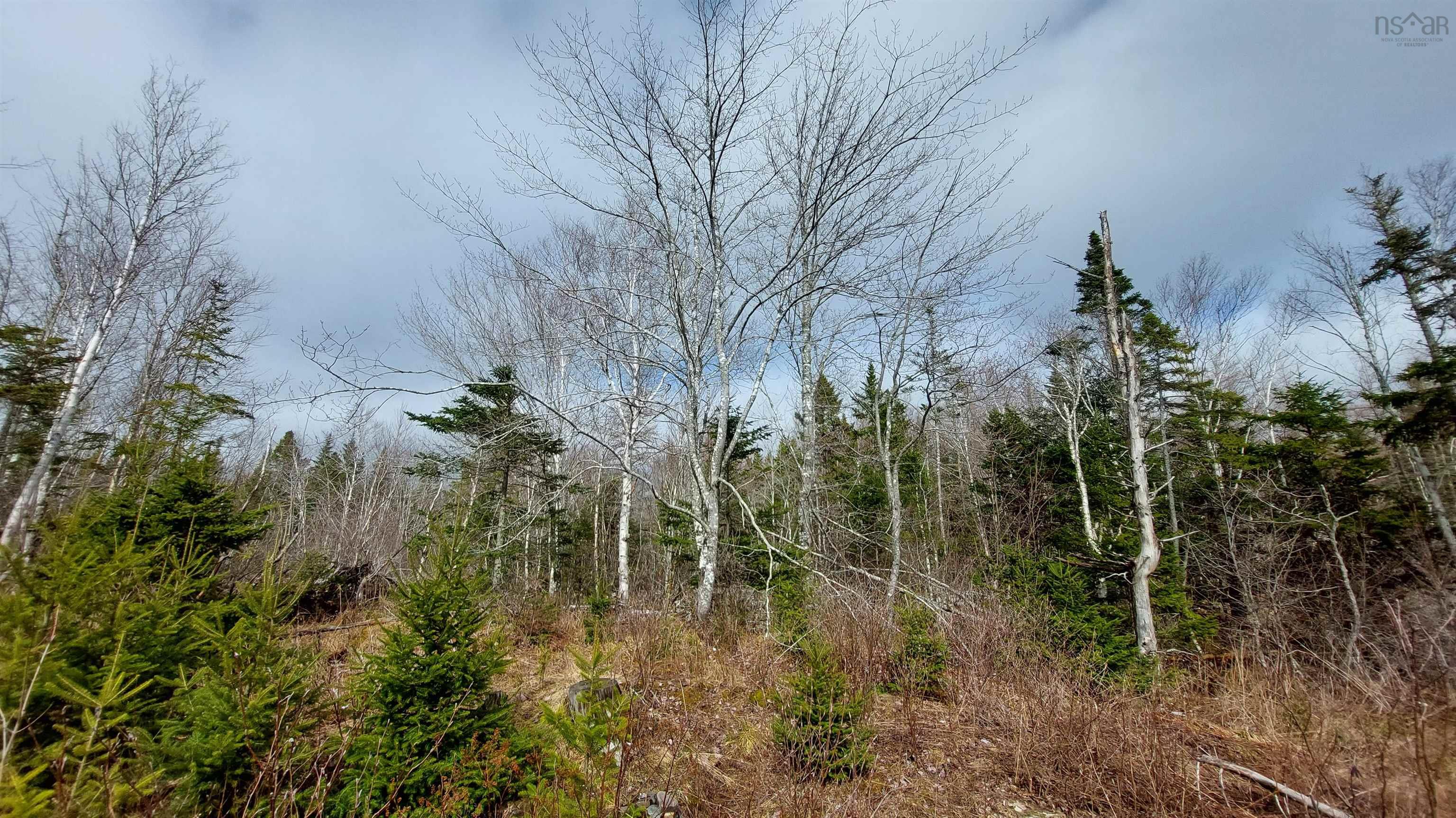 $39,000.00: Lot 5 Evanston Rd, Evanston