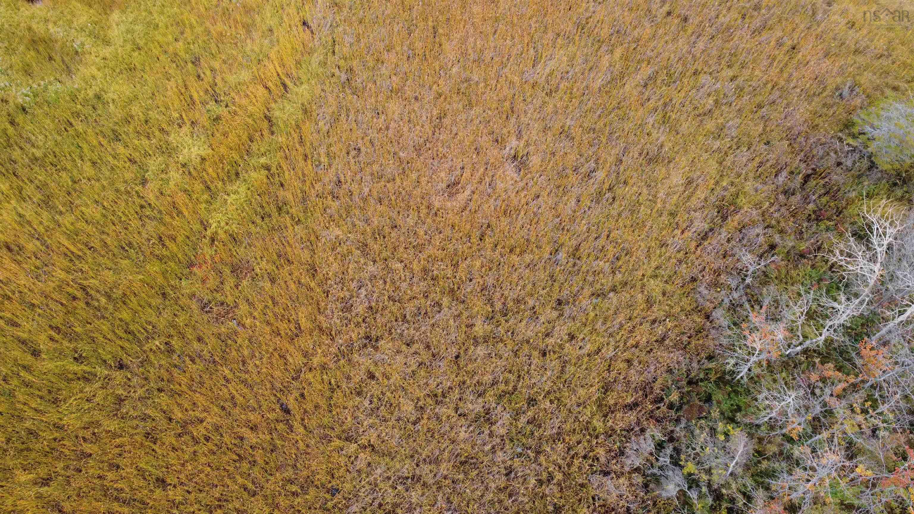 $69,500.00: Lot 2 Malagash South Shore Road, Malagash