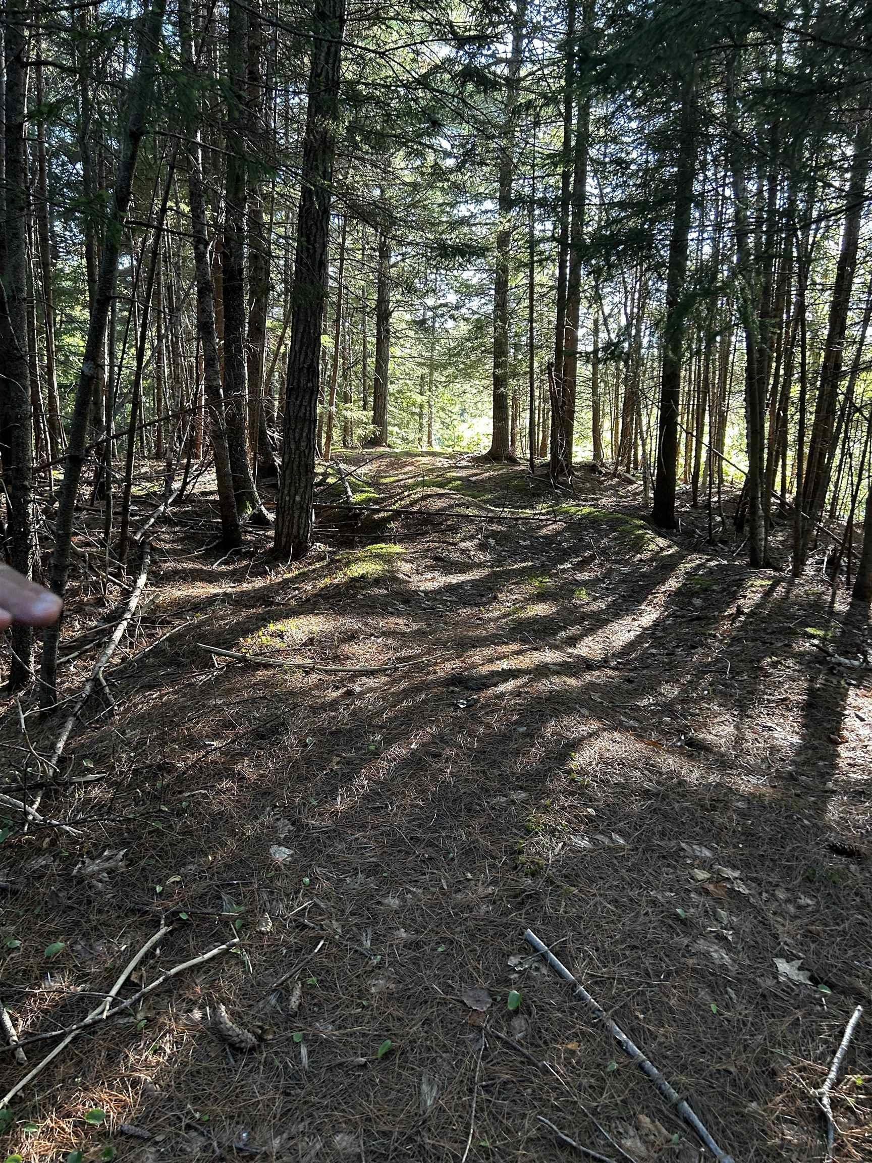 Unit 3 Forsythe Road South Road, White Rock, NS (MLS® 202502883)