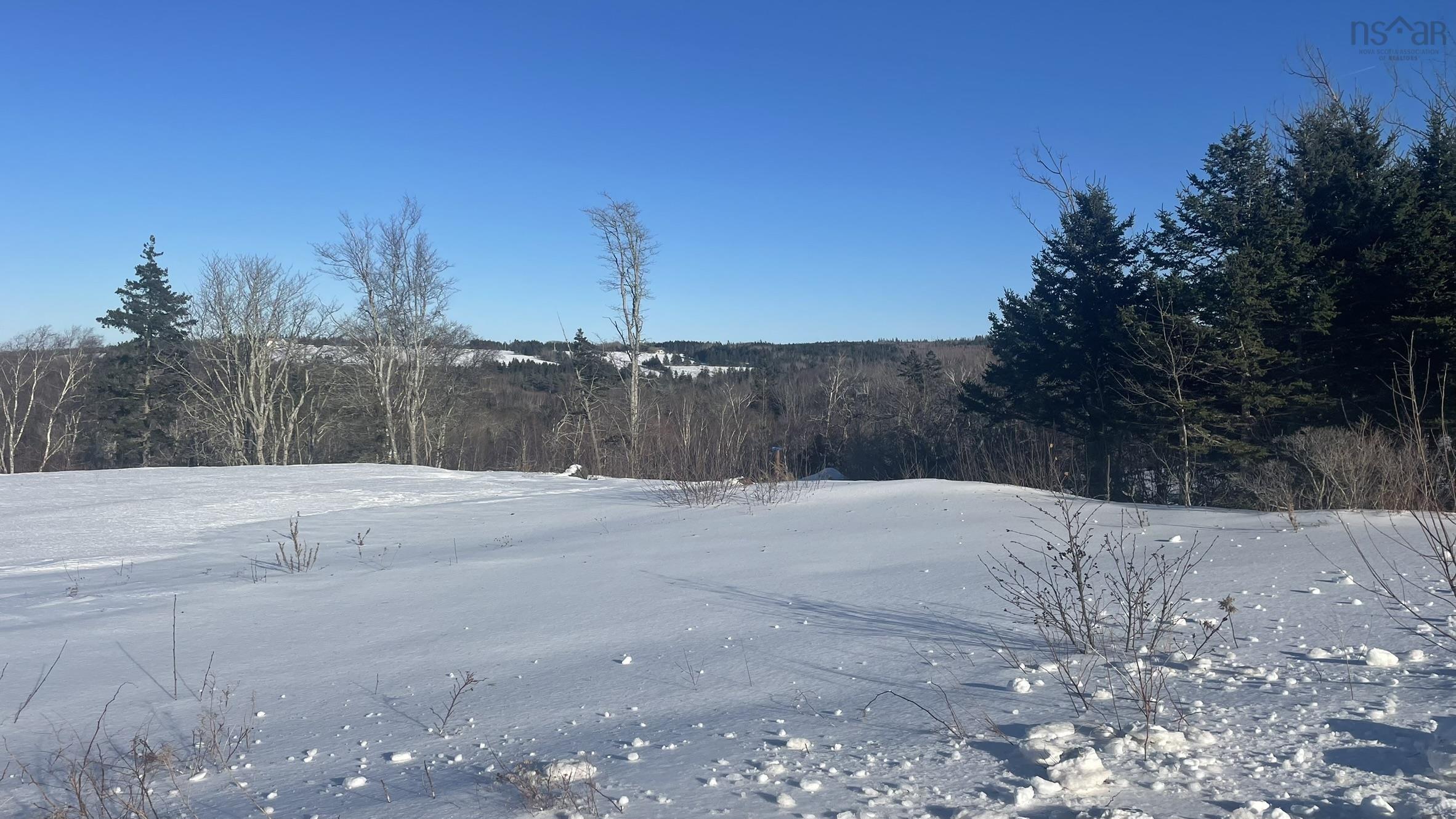 $75,000.00: Lot Brinton Road, Port Lorne