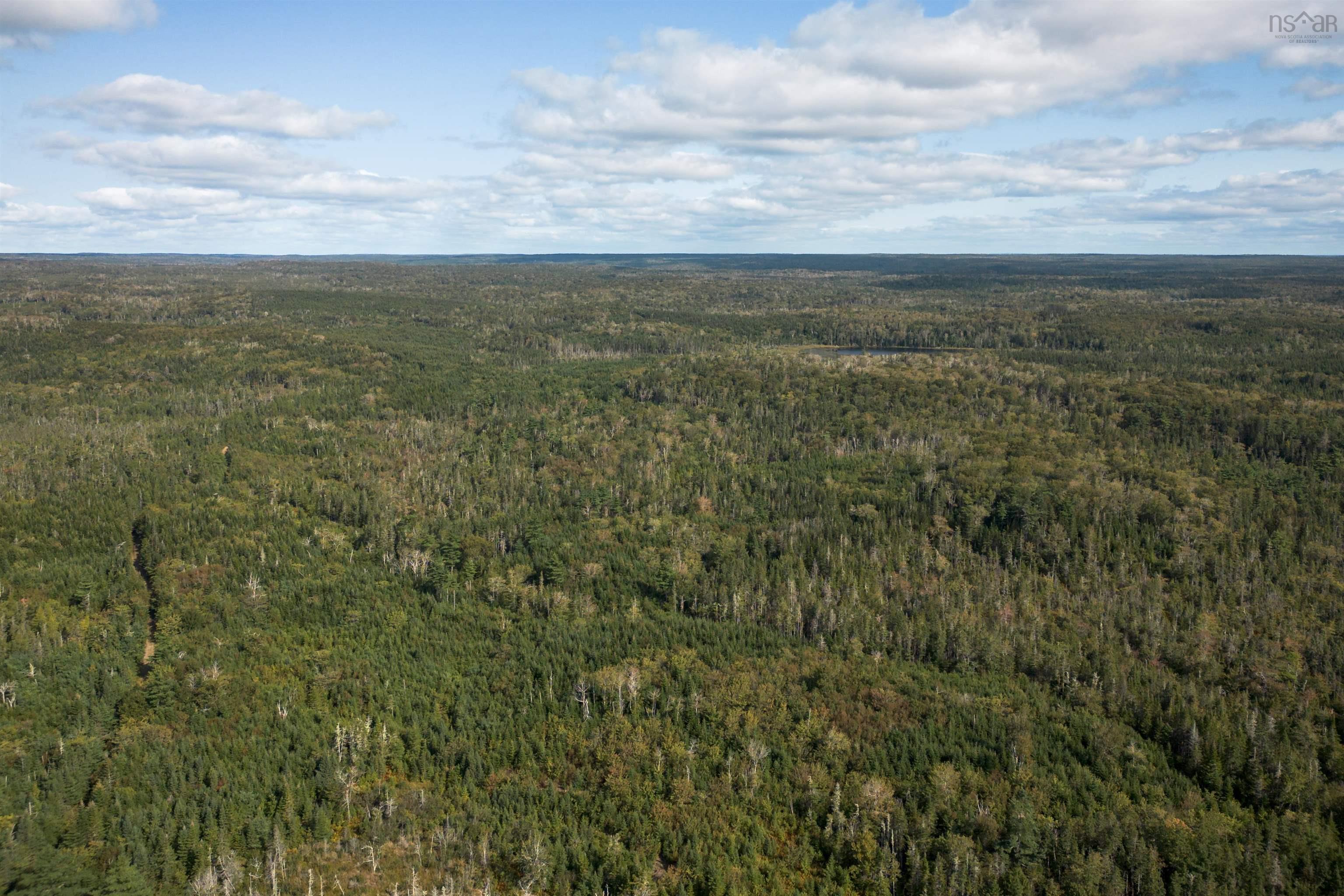 $139,000.00: 166 acres 344 Highway, Manassette Lake