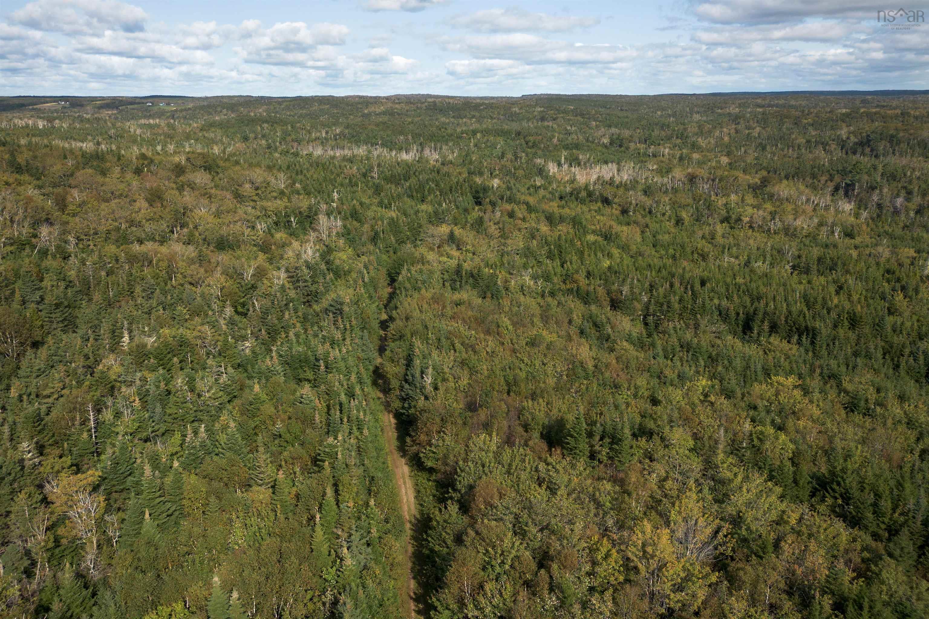 $139,000.00: 166 acres 344 Highway, Manassette Lake