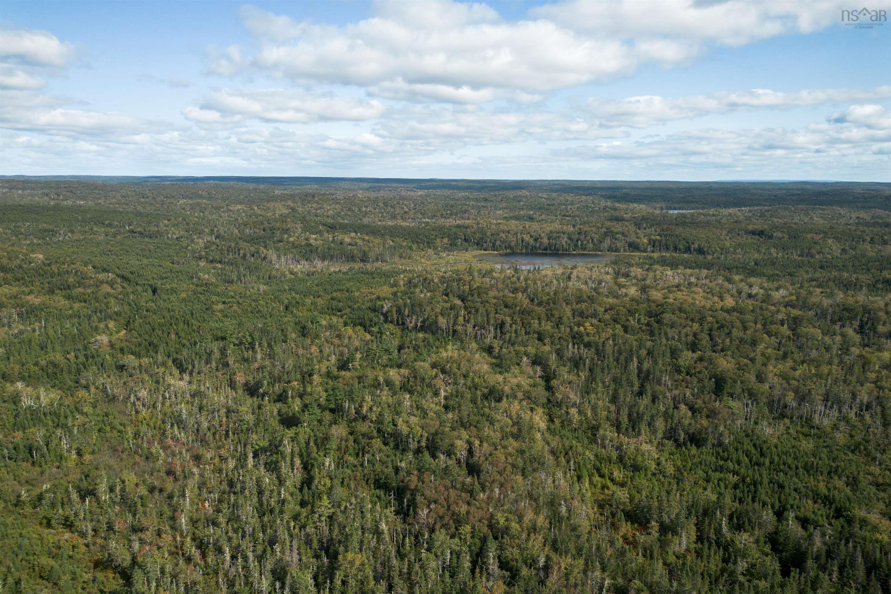 $139,000.00: 166 acres 344 Highway, Manassette Lake