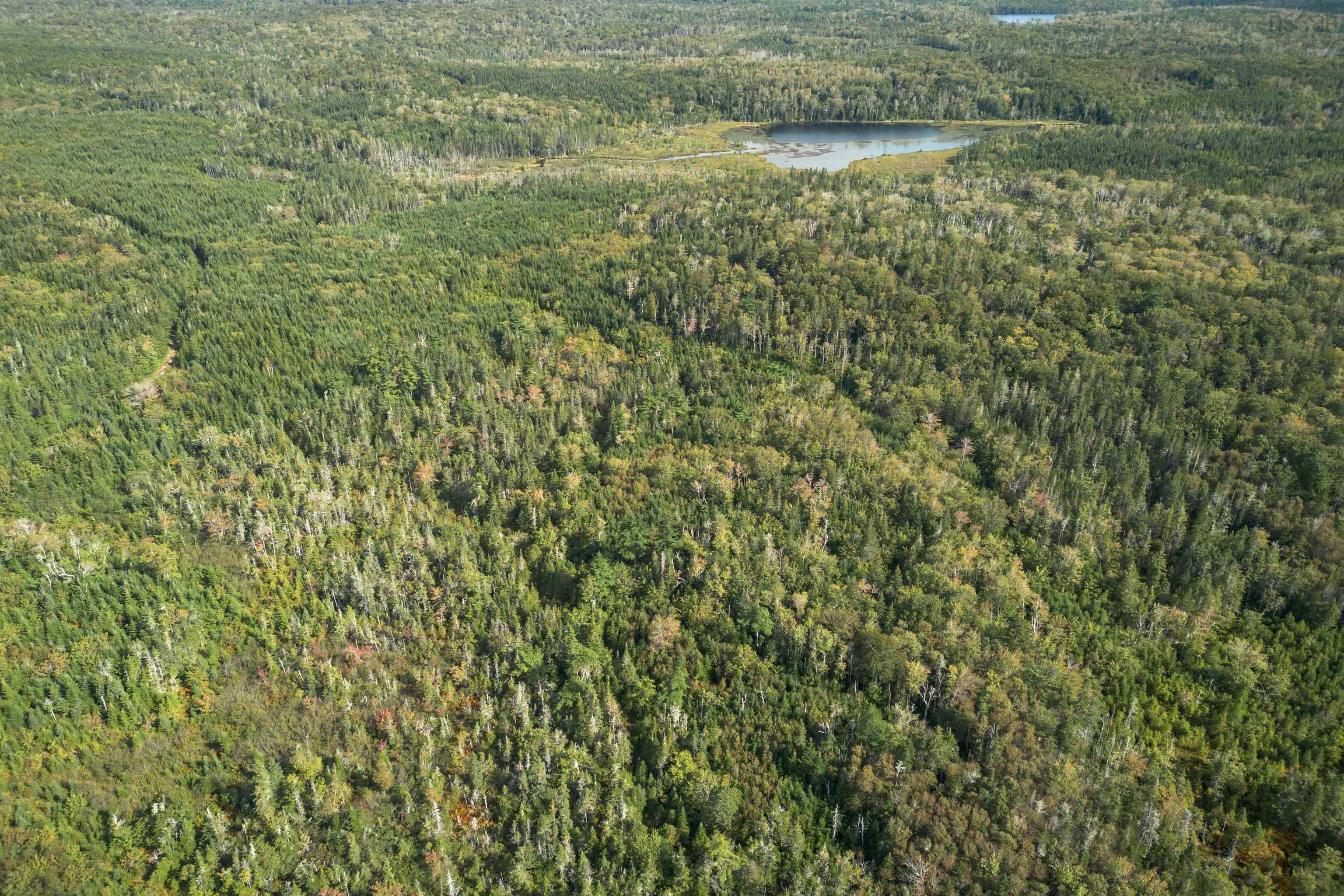 $139,000.00: 166 acres 344 Highway, Manassette Lake
