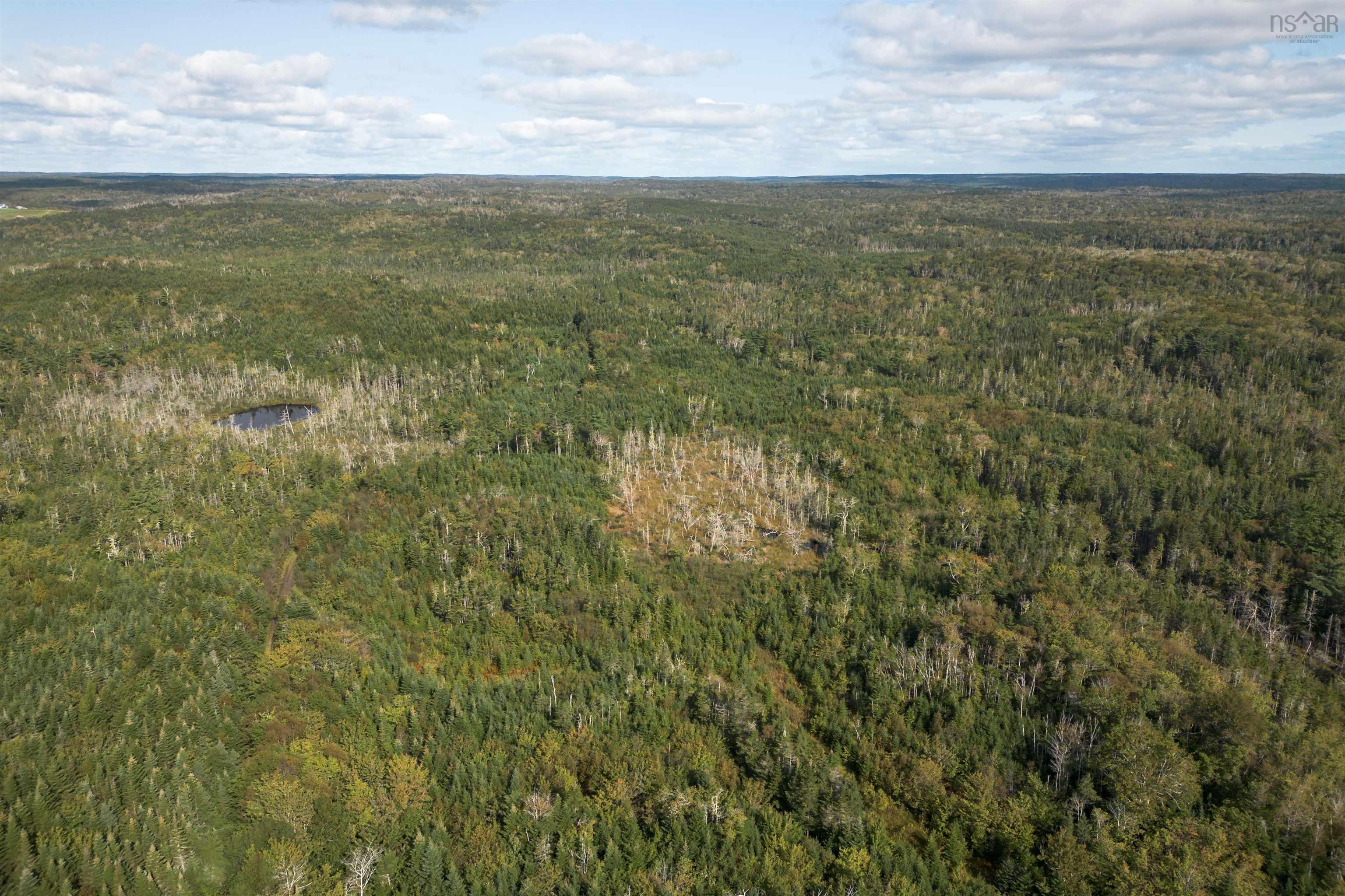 $139,000.00: 166 acres 344 Highway, Manassette Lake