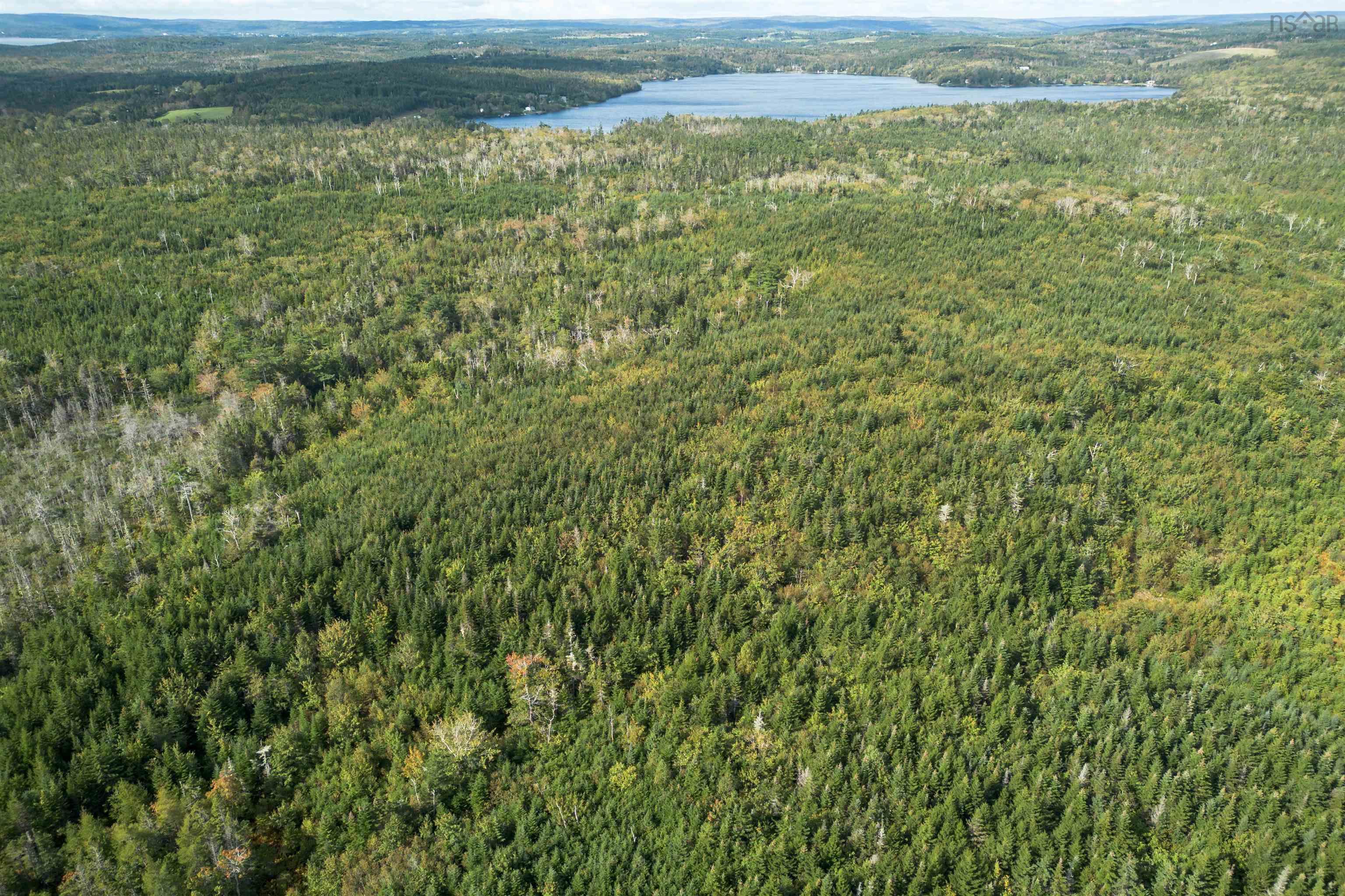 $139,000.00: 166 acres 344 Highway, Manassette Lake