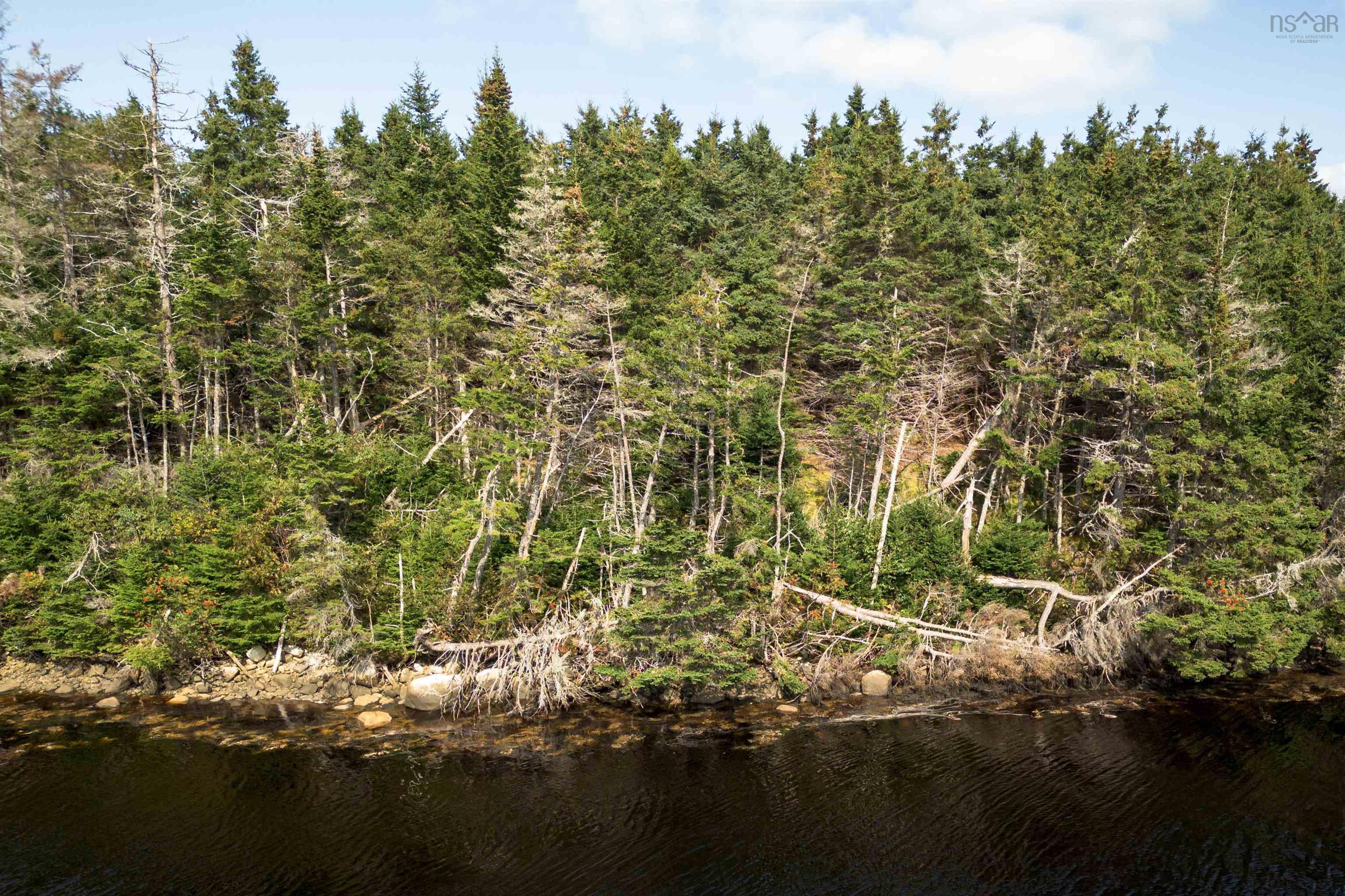 $129,000.00: 55 acres 316 Highway, Port Felix