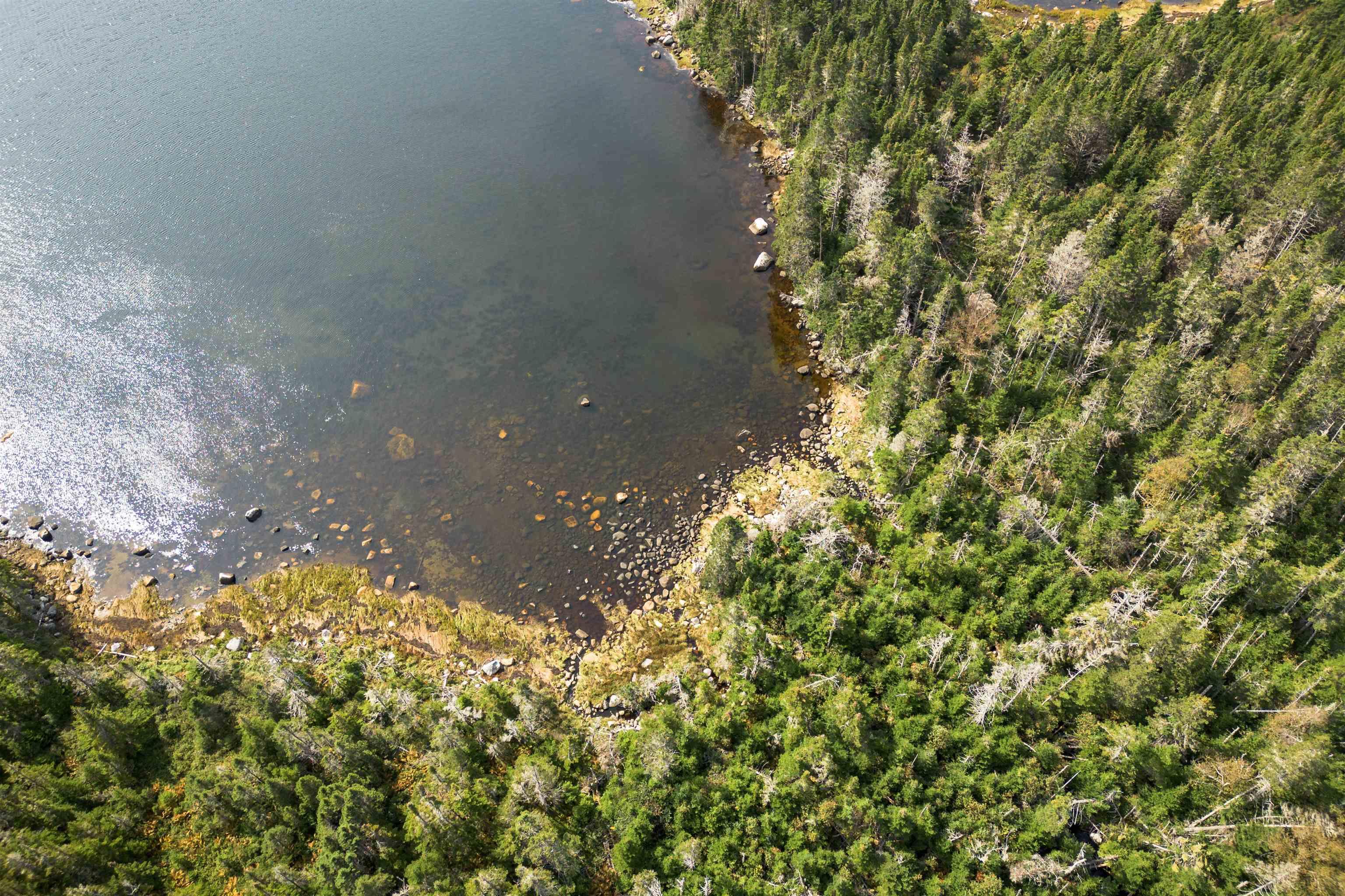 $129,000.00: 55 acres 316 Highway, Port Felix