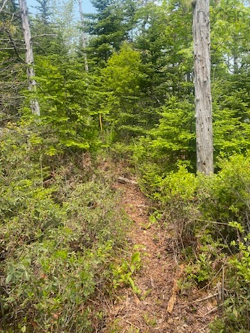 125 Brans Way, Williamswood, NS (MLS 202503193)