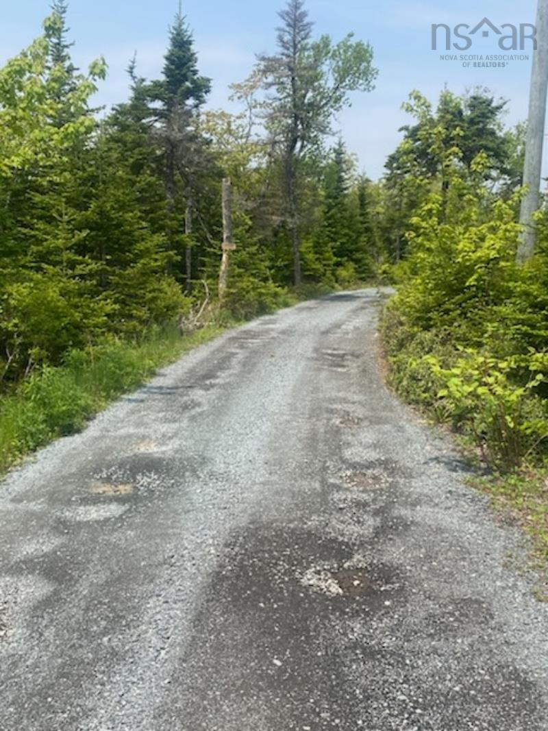 125 Brans Way, Williamswood, NS (MLS 202503193)