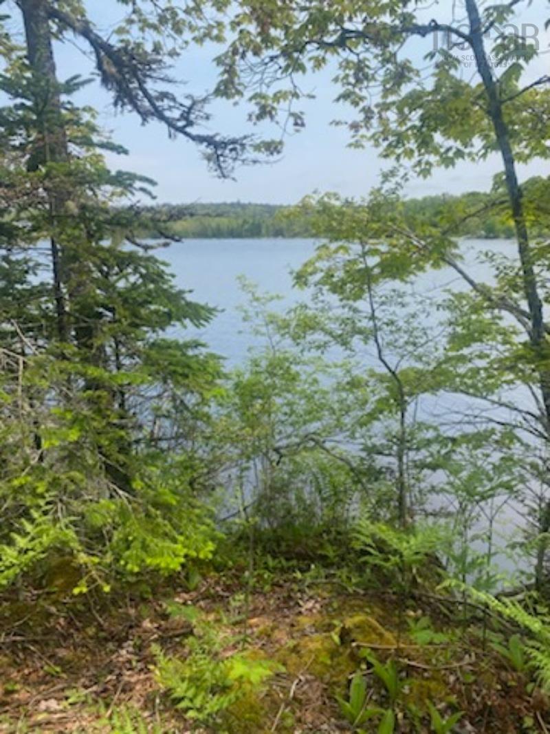 125 Brans Way, Williamswood, NS (MLS 202503193)