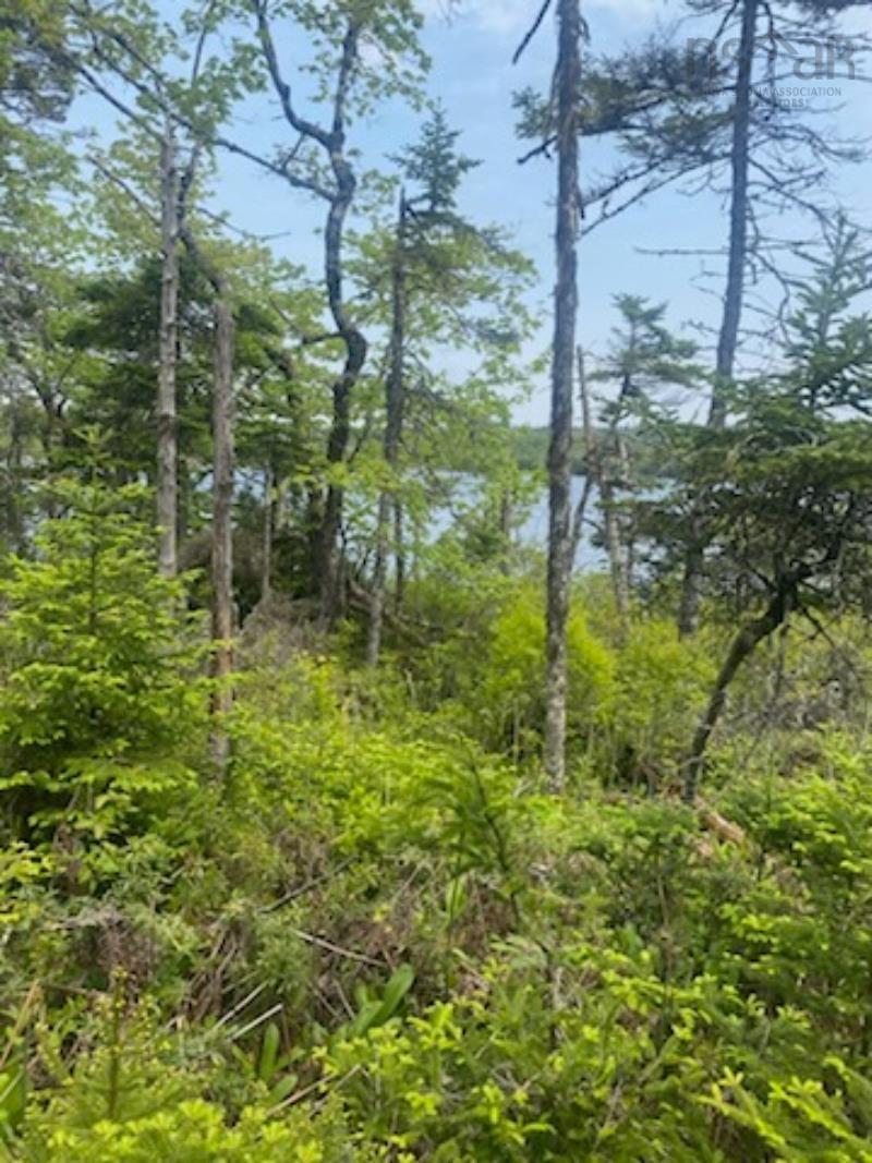 125 Brans Way, Williamswood, NS (MLS 202503193)