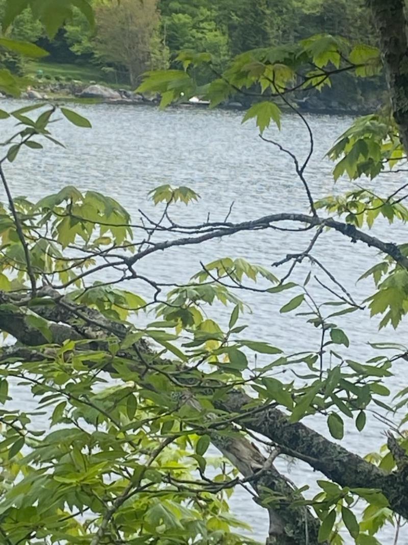 125 Brans Way, Williamswood, NS (MLS 202503193)