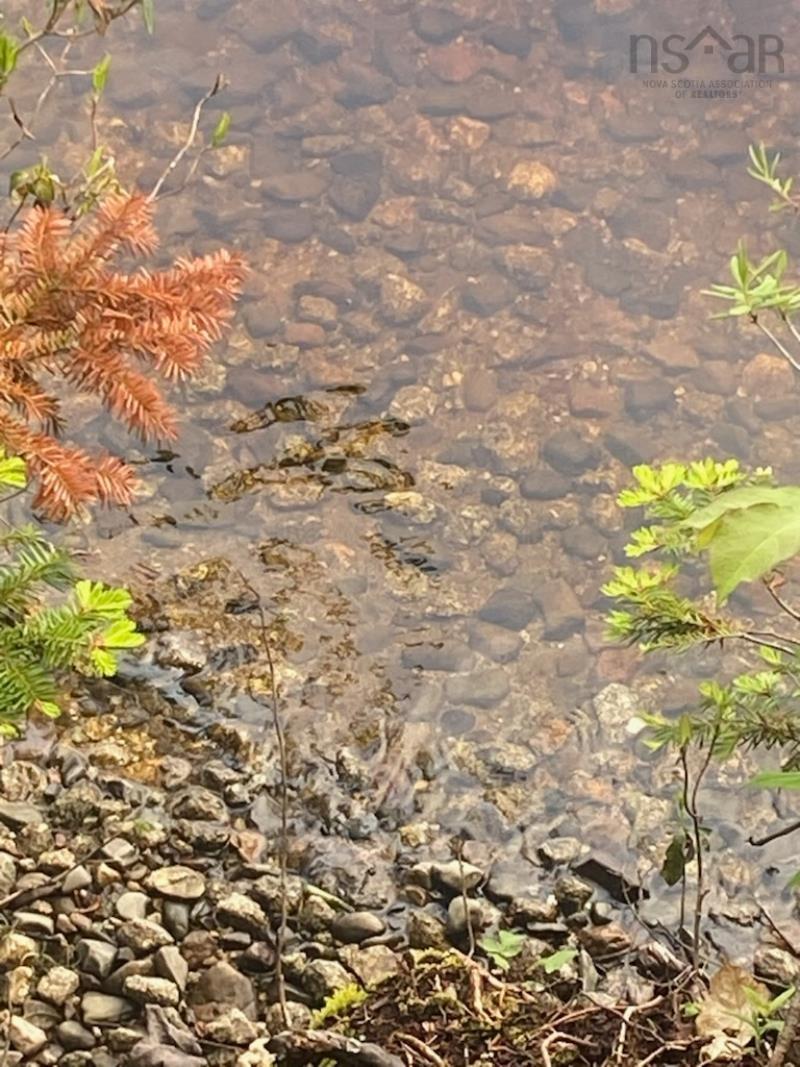 125 Brans Way, Williamswood, NS (MLS 202503193)