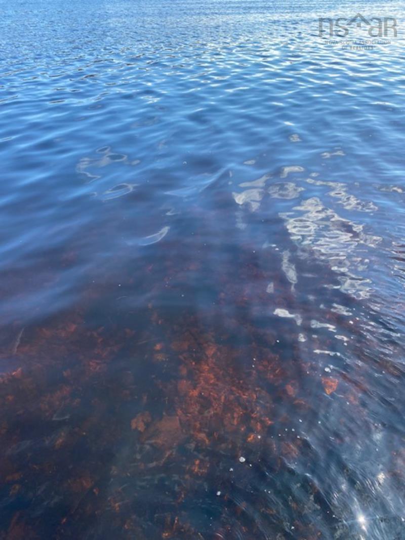 125 Brans Way, Williamswood, NS (MLS 202503193)