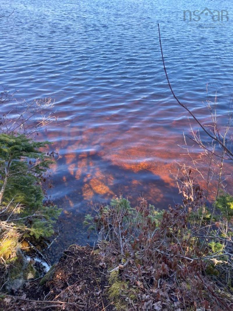 125 Brans Way, Williamswood, NS (MLS 202503193)