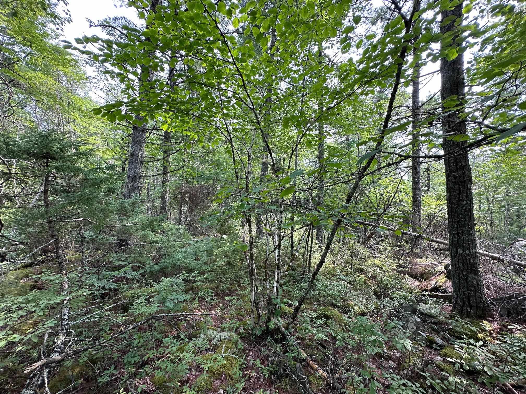 $28,000.00: Lot 14 Forest Close, Labelle