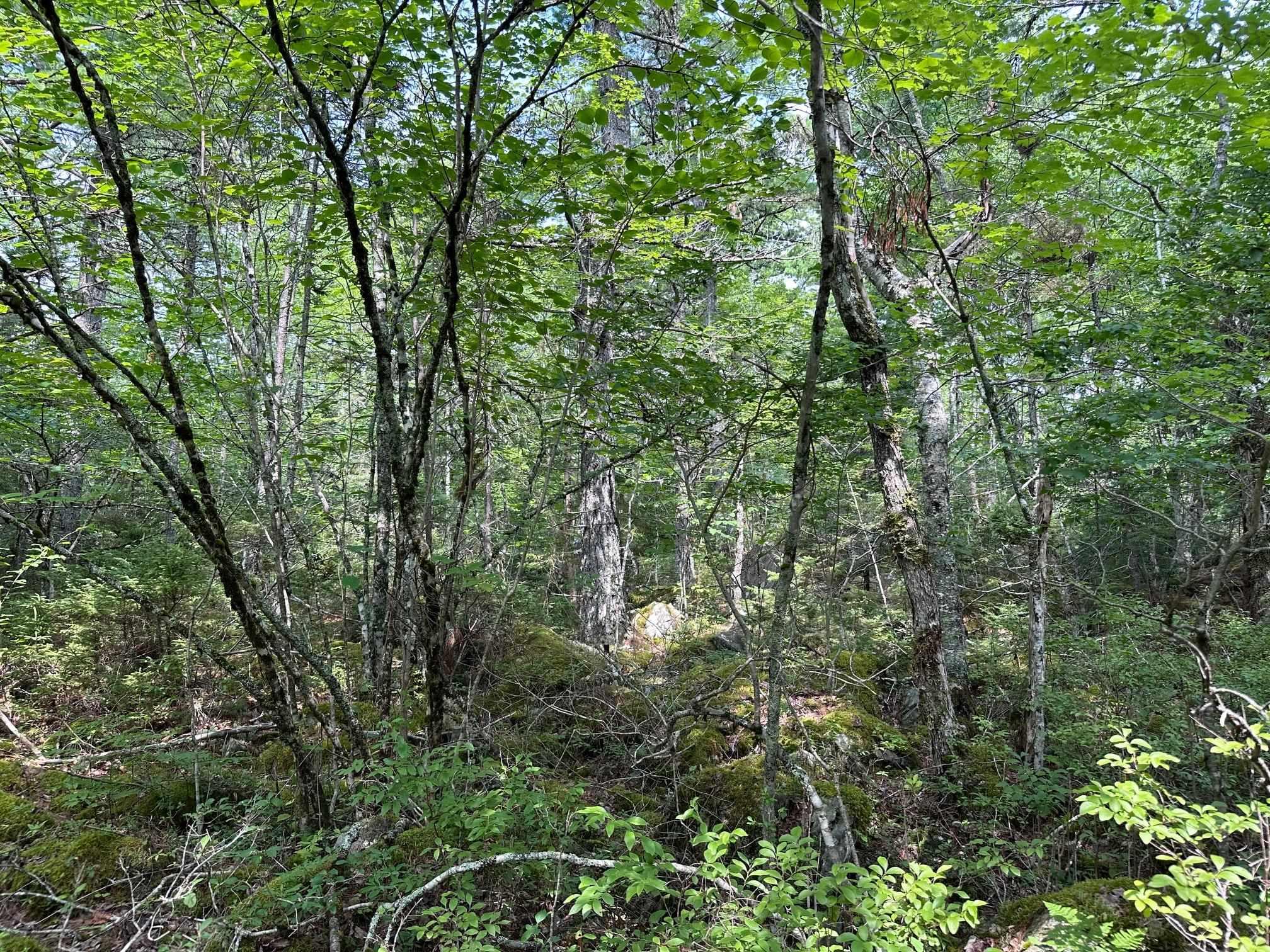 $28,000.00: Lot 14 Forest Close, Labelle