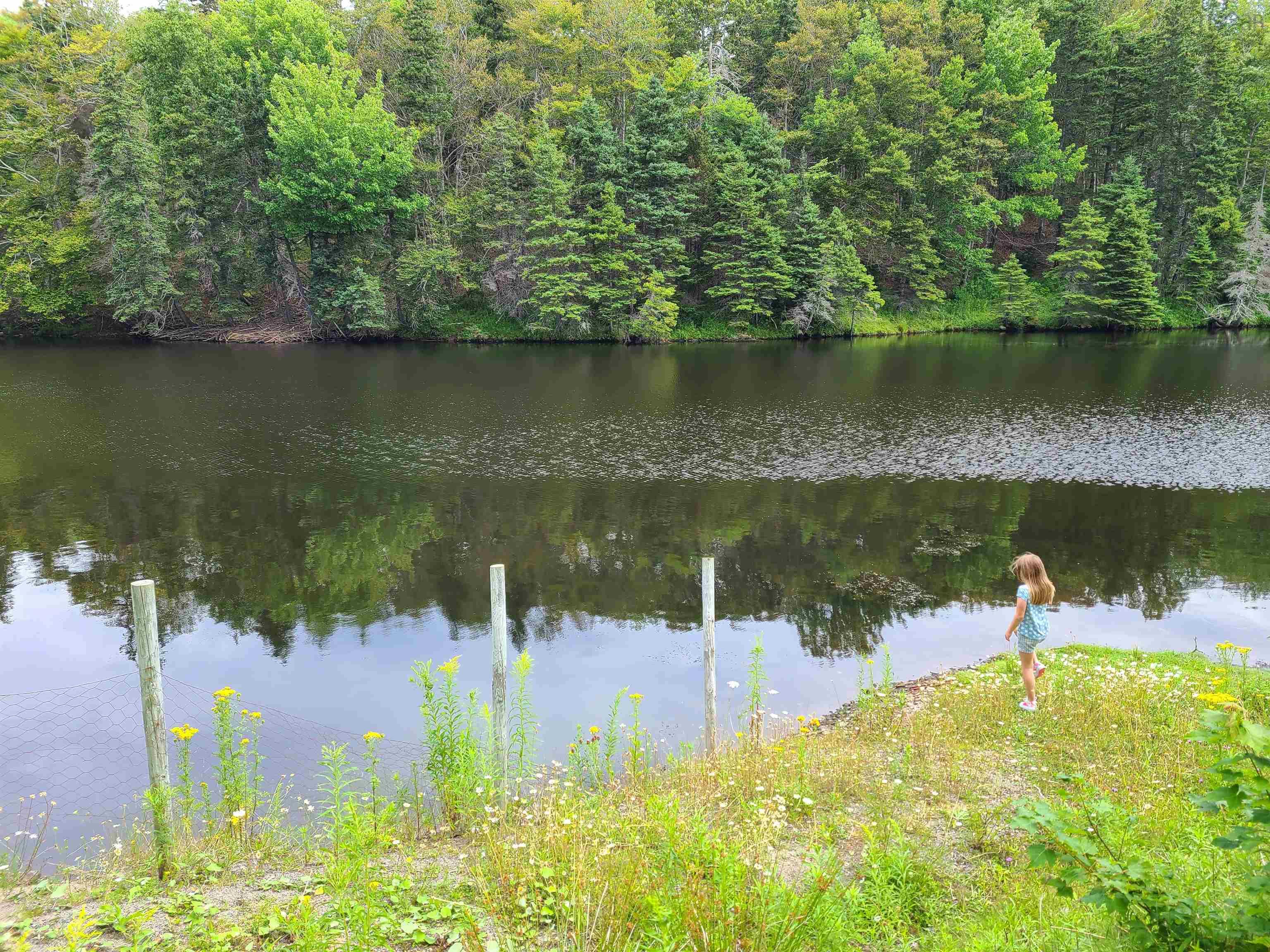 $495,000.00: 13 J.D. MacLean Crescent, Port Hawkesbury