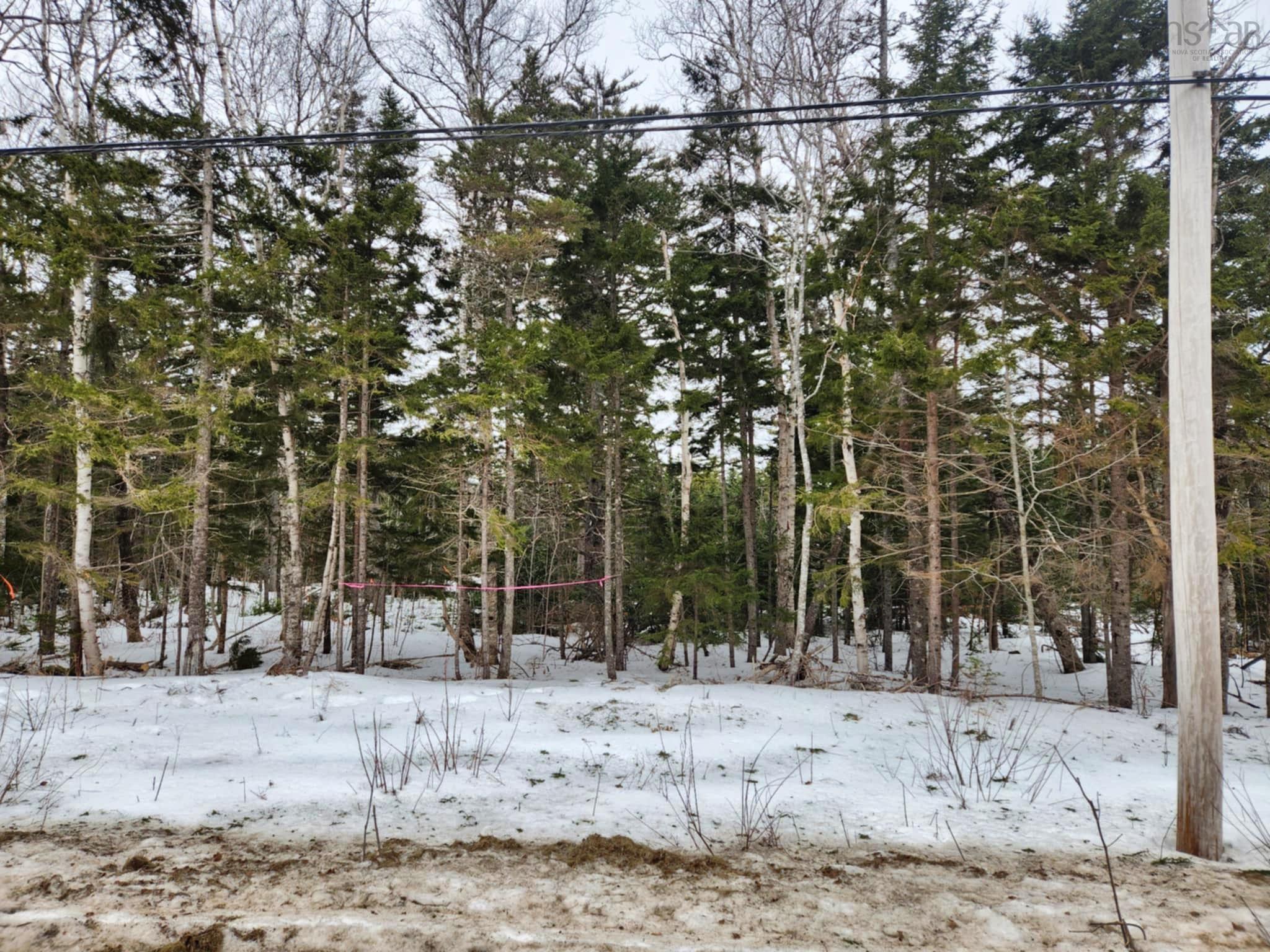 $49,000.00: Lot 7 Highway 360, Garland