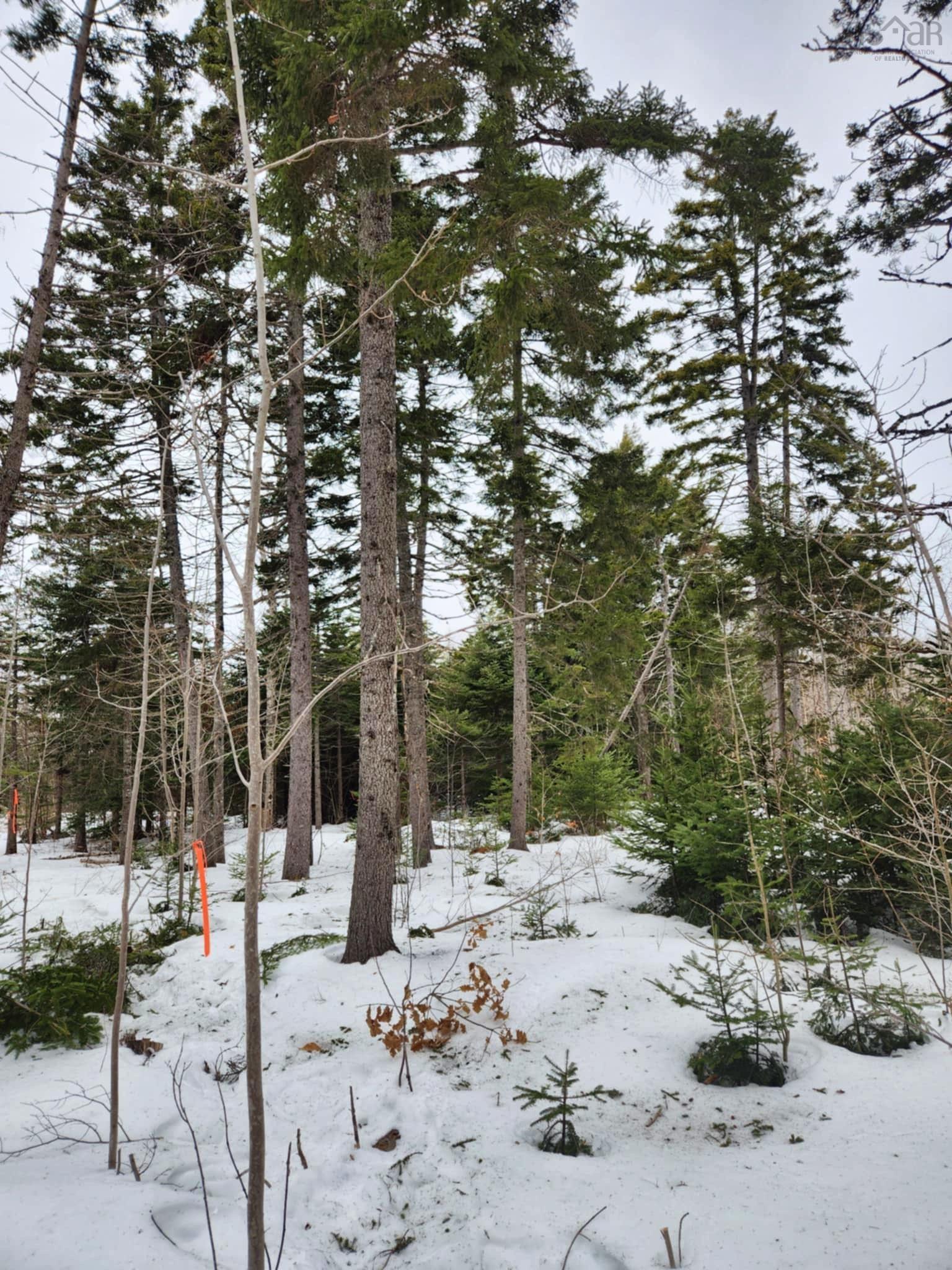 $49,000.00: Lot 7 Highway 360, Garland