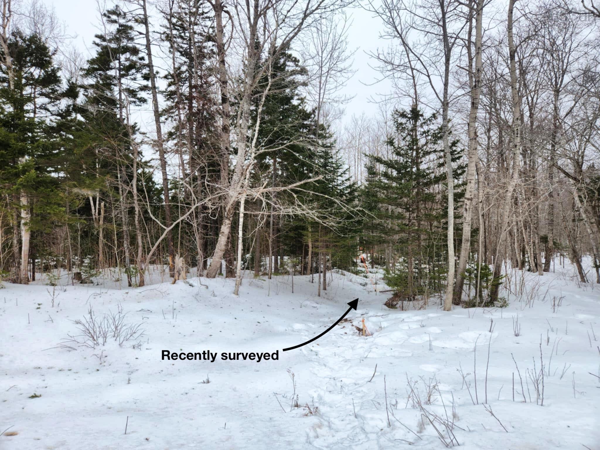 $49,000.00: Lot 7 Highway 360, Garland