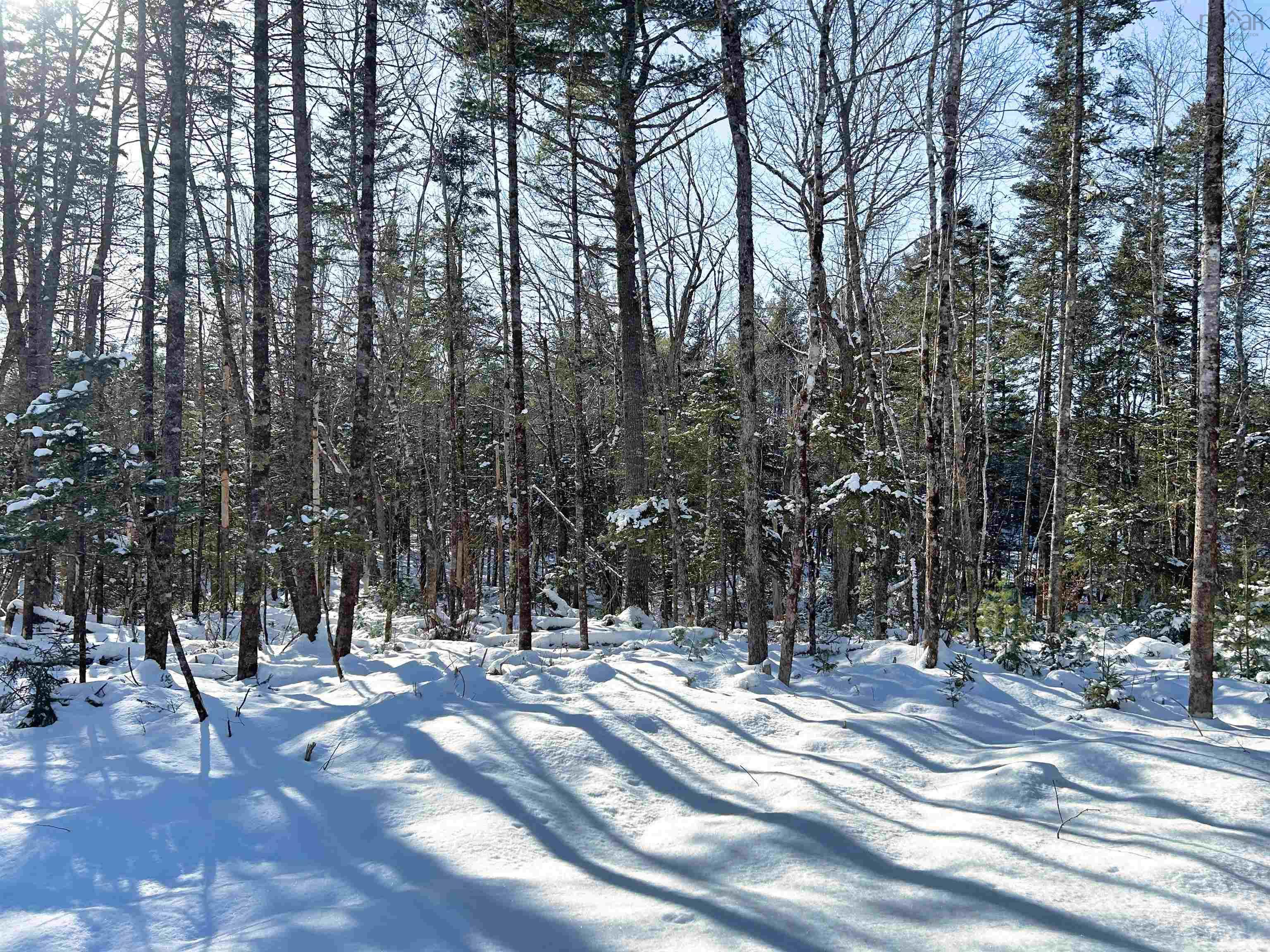 $59,000.00: Lot 103 Newburne Road, Newburne