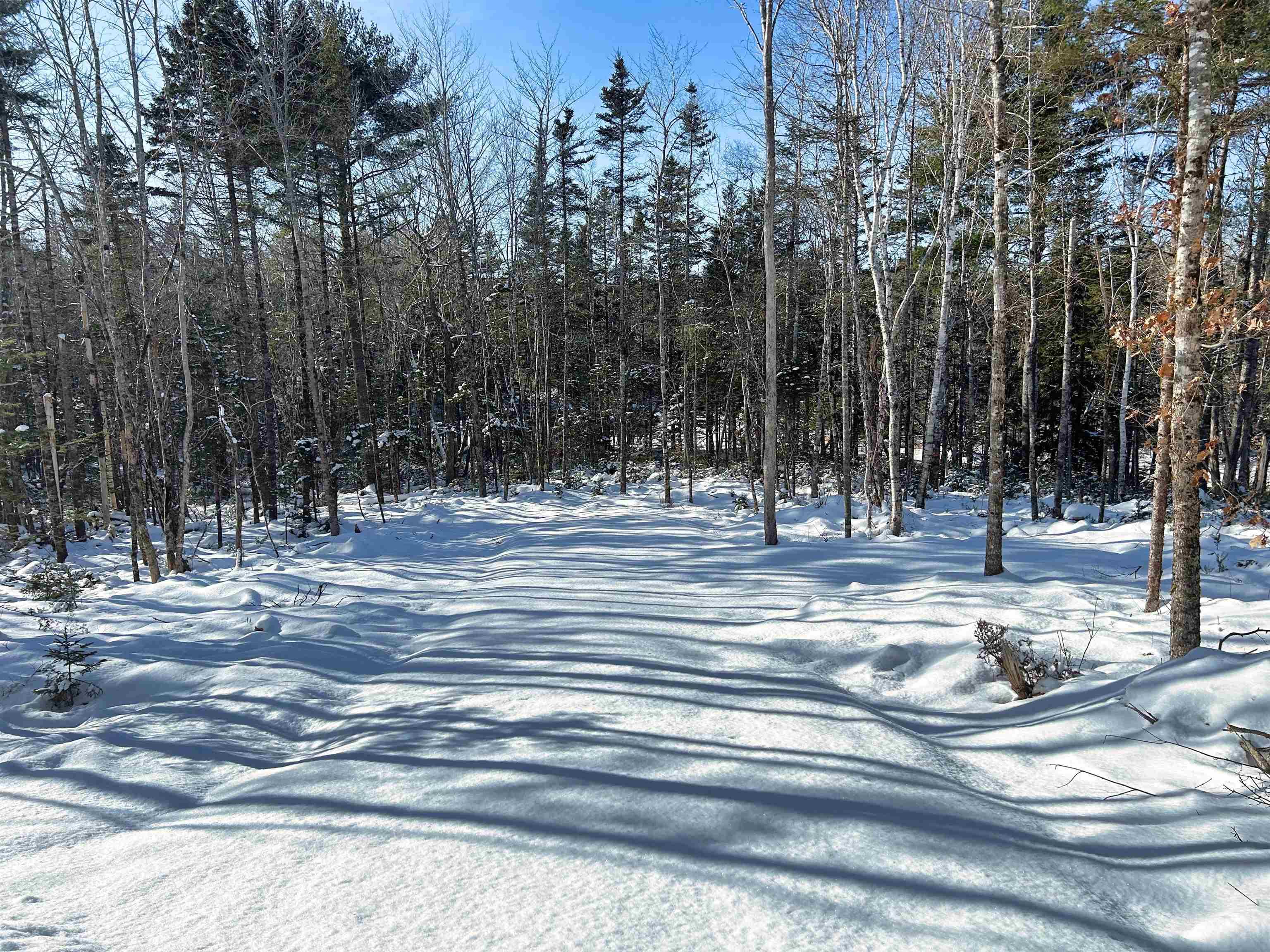 $59,000.00: Lot 103 Newburne Road, Newburne