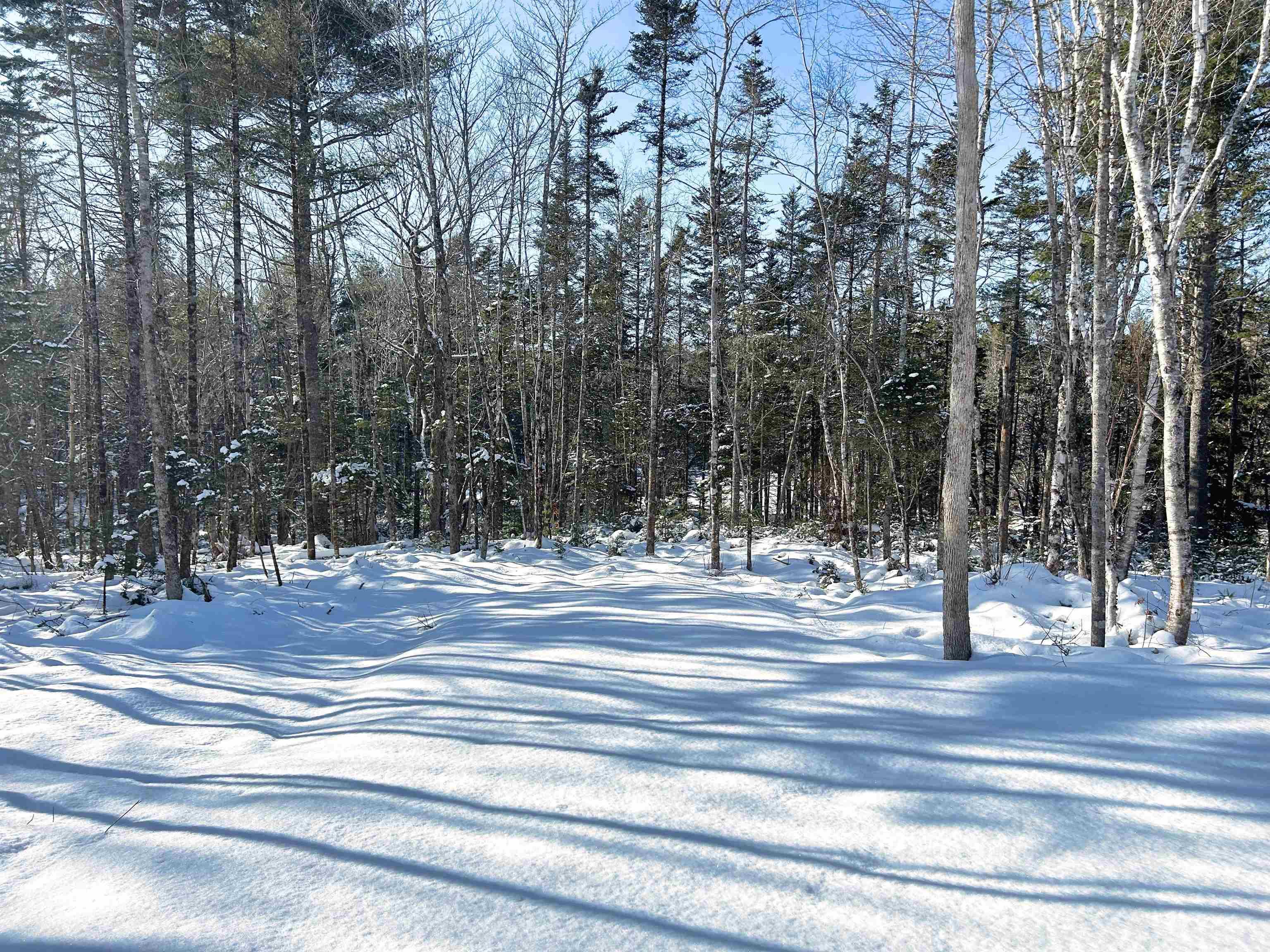 $59,000.00: Lot 103 Newburne Road, Newburne