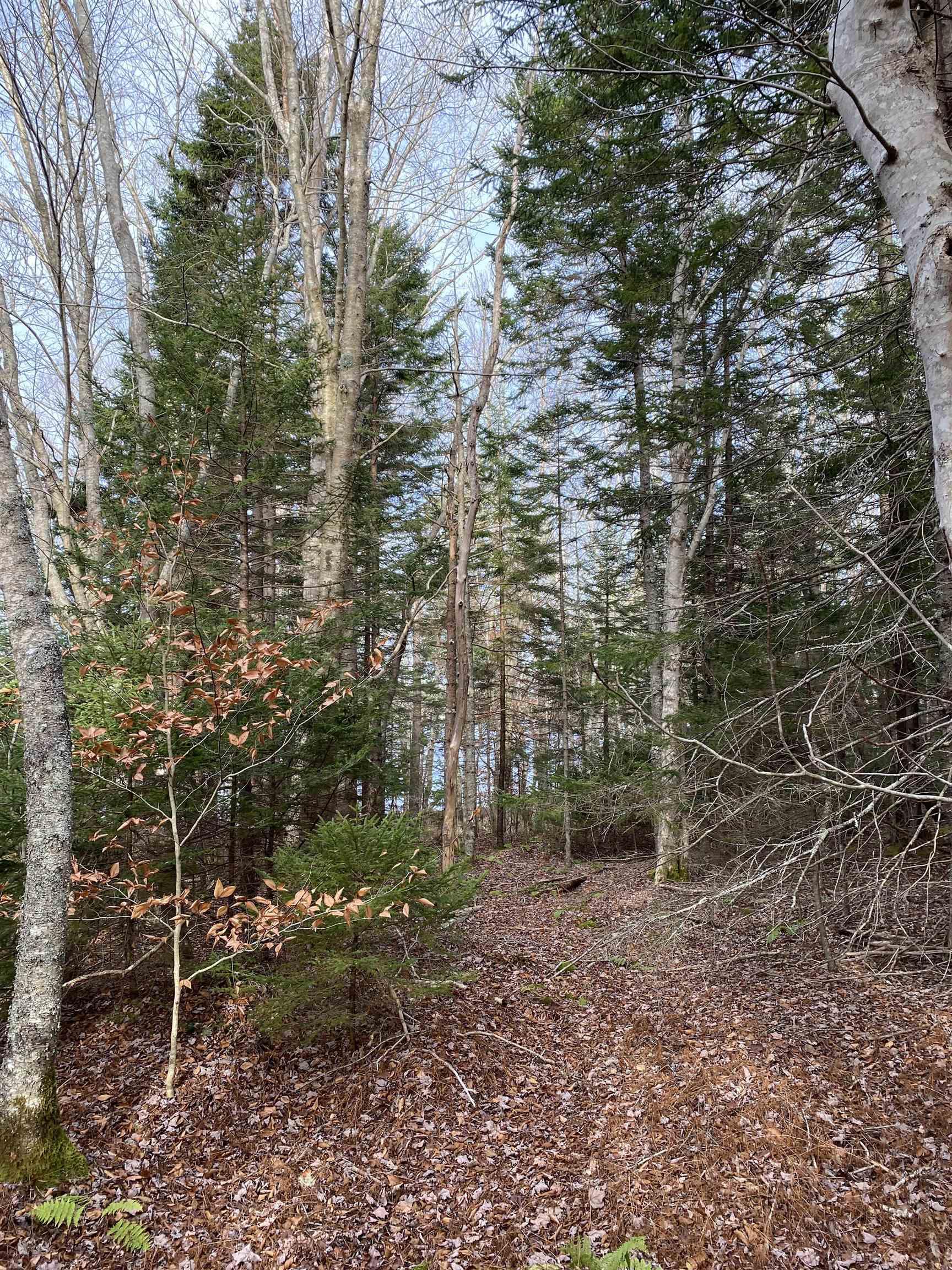 $20,000.00: Lot 2 Grosses Coques Road, Grosses Coques