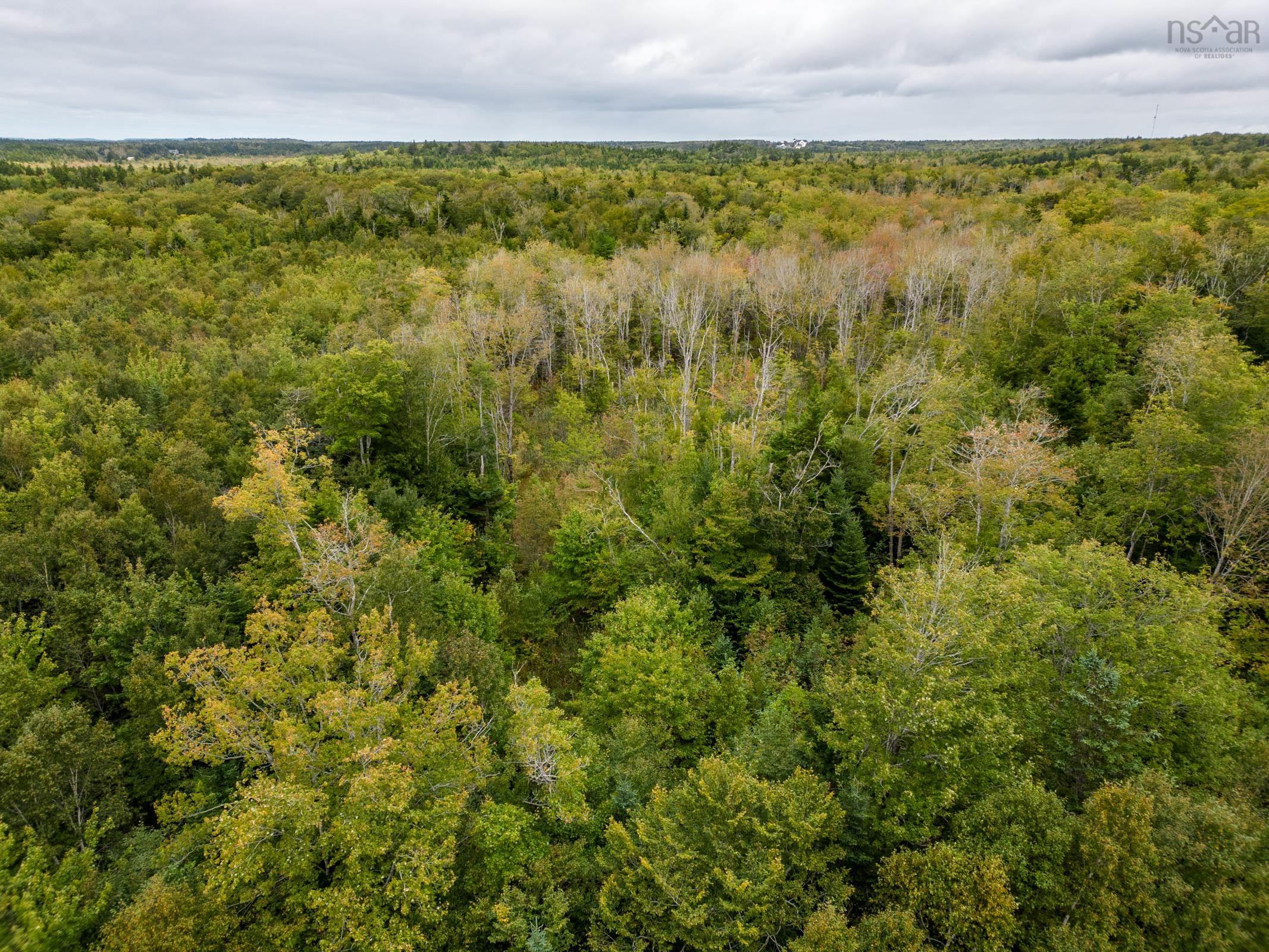 $15,000.00: P F Comeau Road, Comeauville