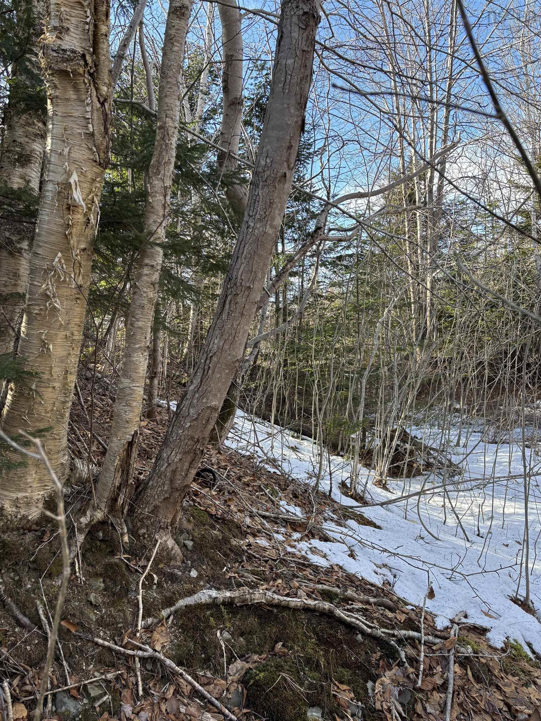 $15,000.00: P F Comeau Road, Comeauville