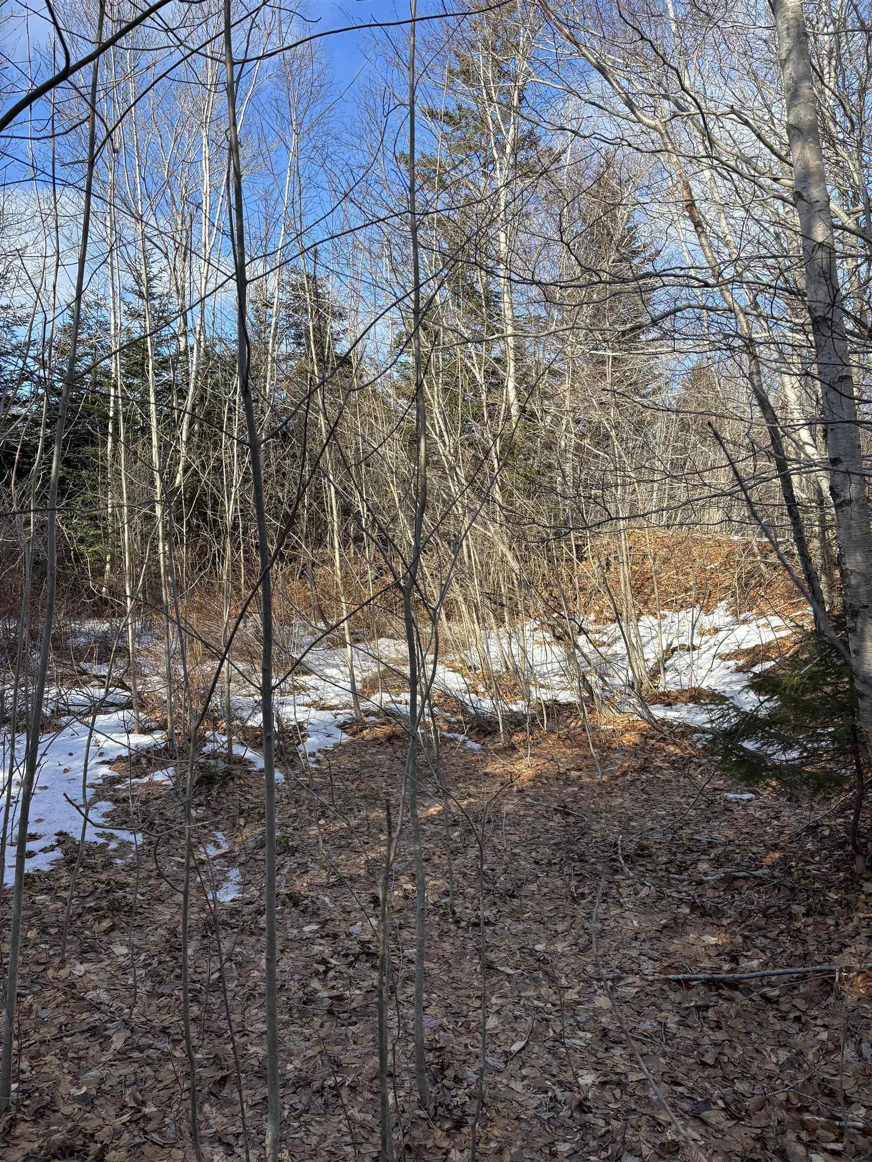 $15,000.00: P F Comeau Road, Comeauville