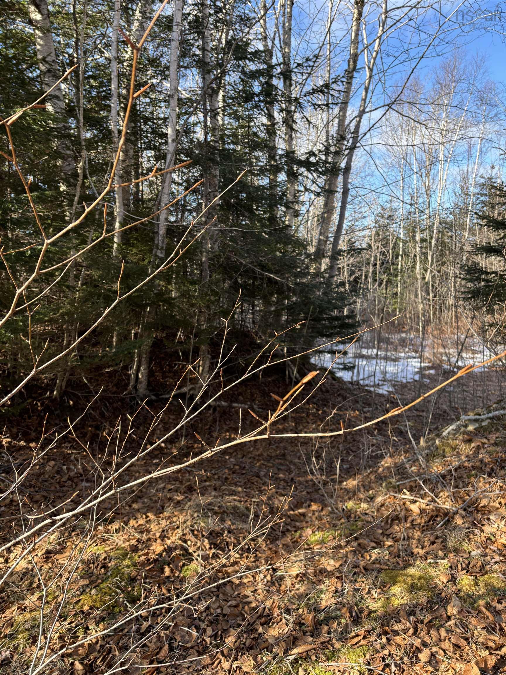 $15,000.00: P F Comeau Road, Comeauville