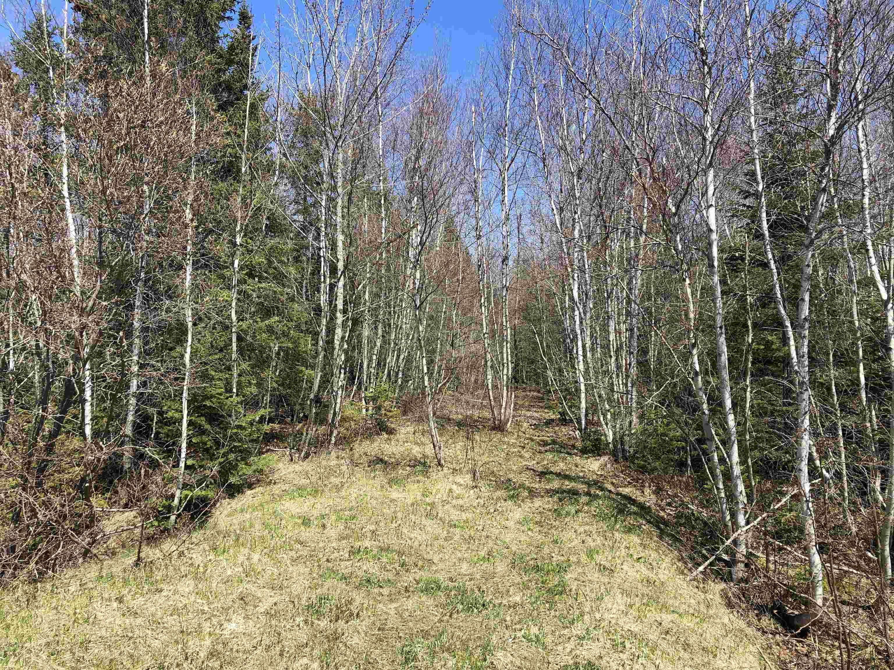 $179,000.00: Lot 3 3229 Malagash Road, Malagash Centre
