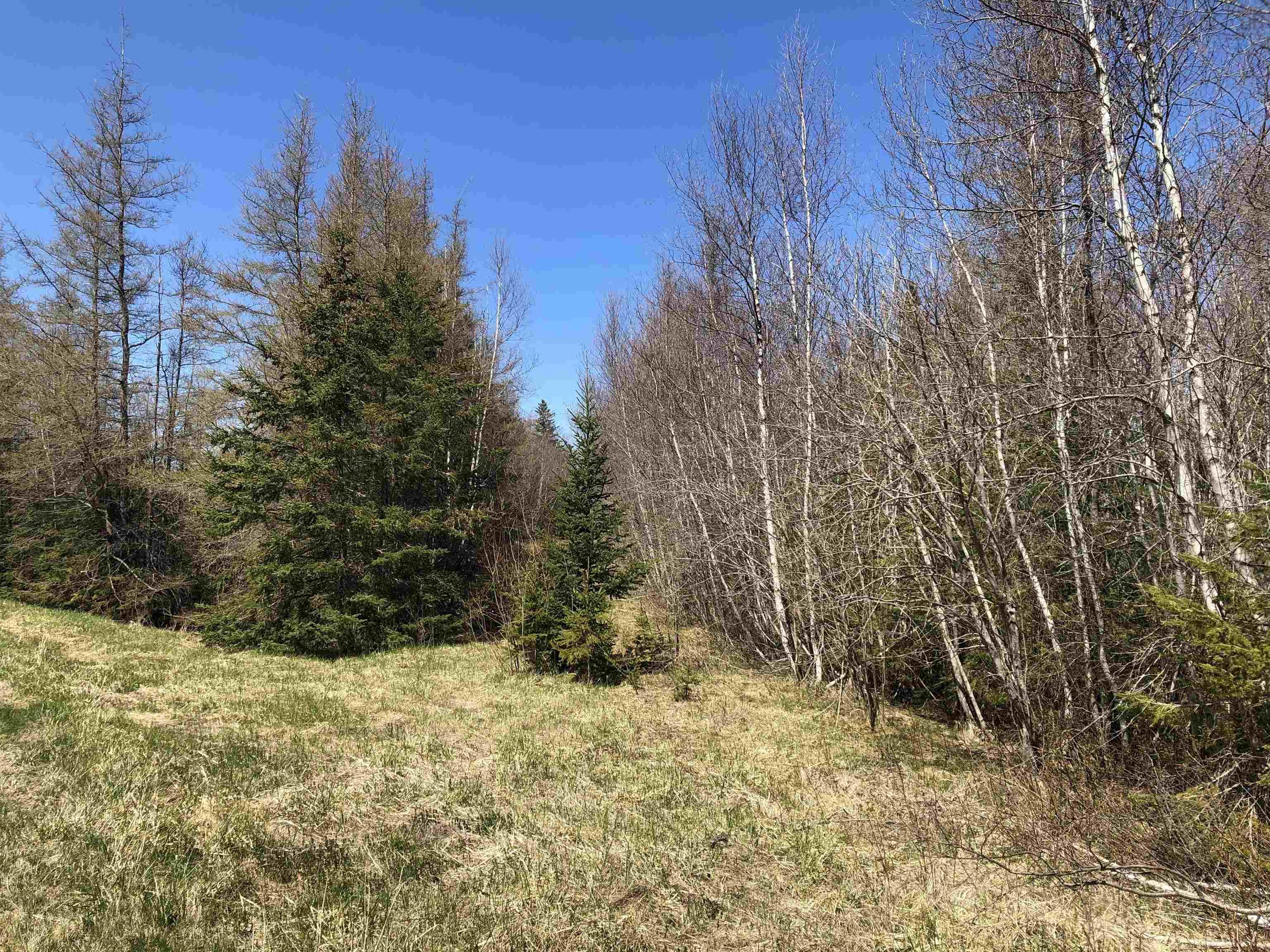 $179,000.00: Lot 3 3229 Malagash Road, Malagash Centre