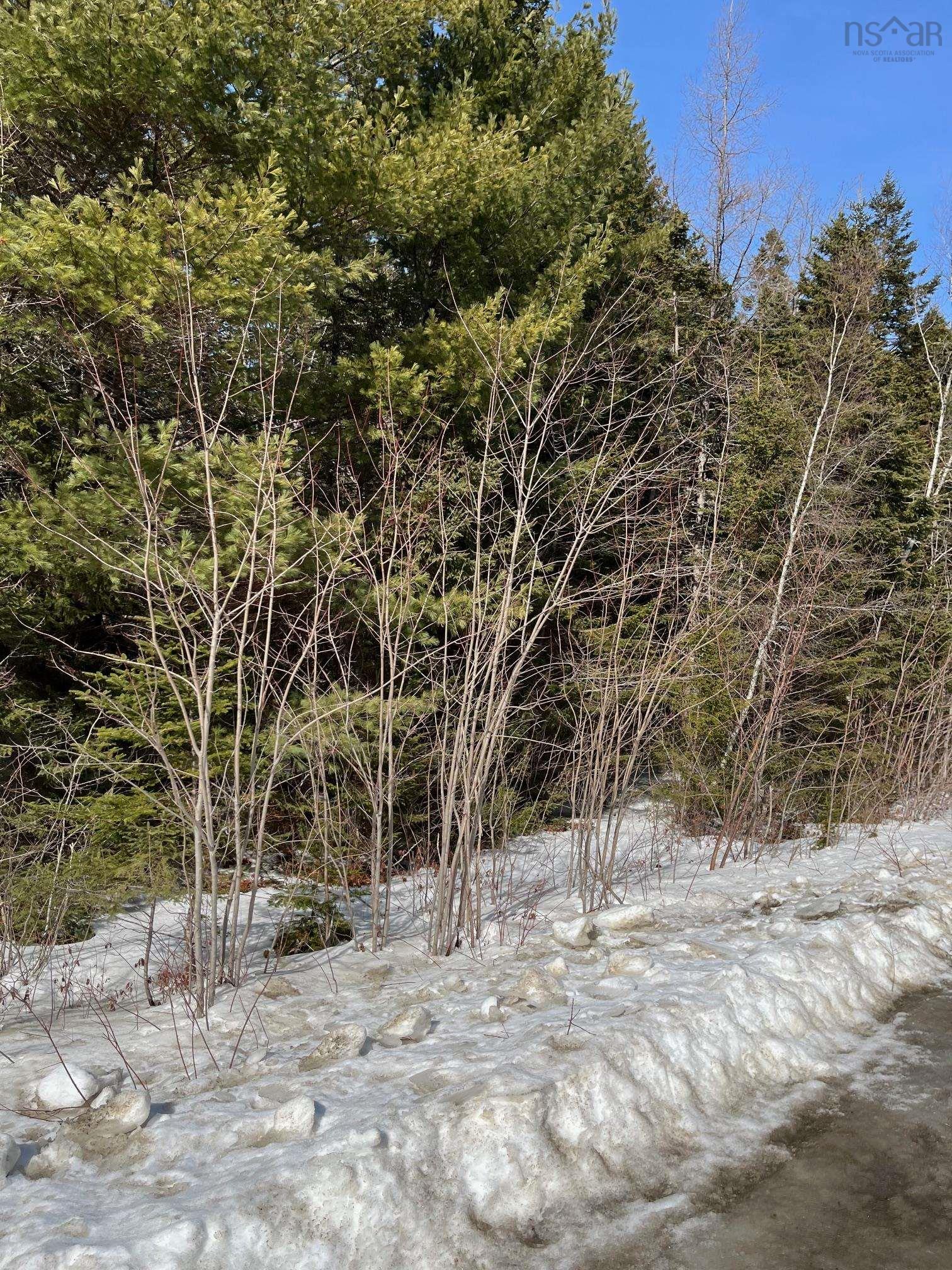 $49,000.00: 1 Highway 331, Petite Rivière