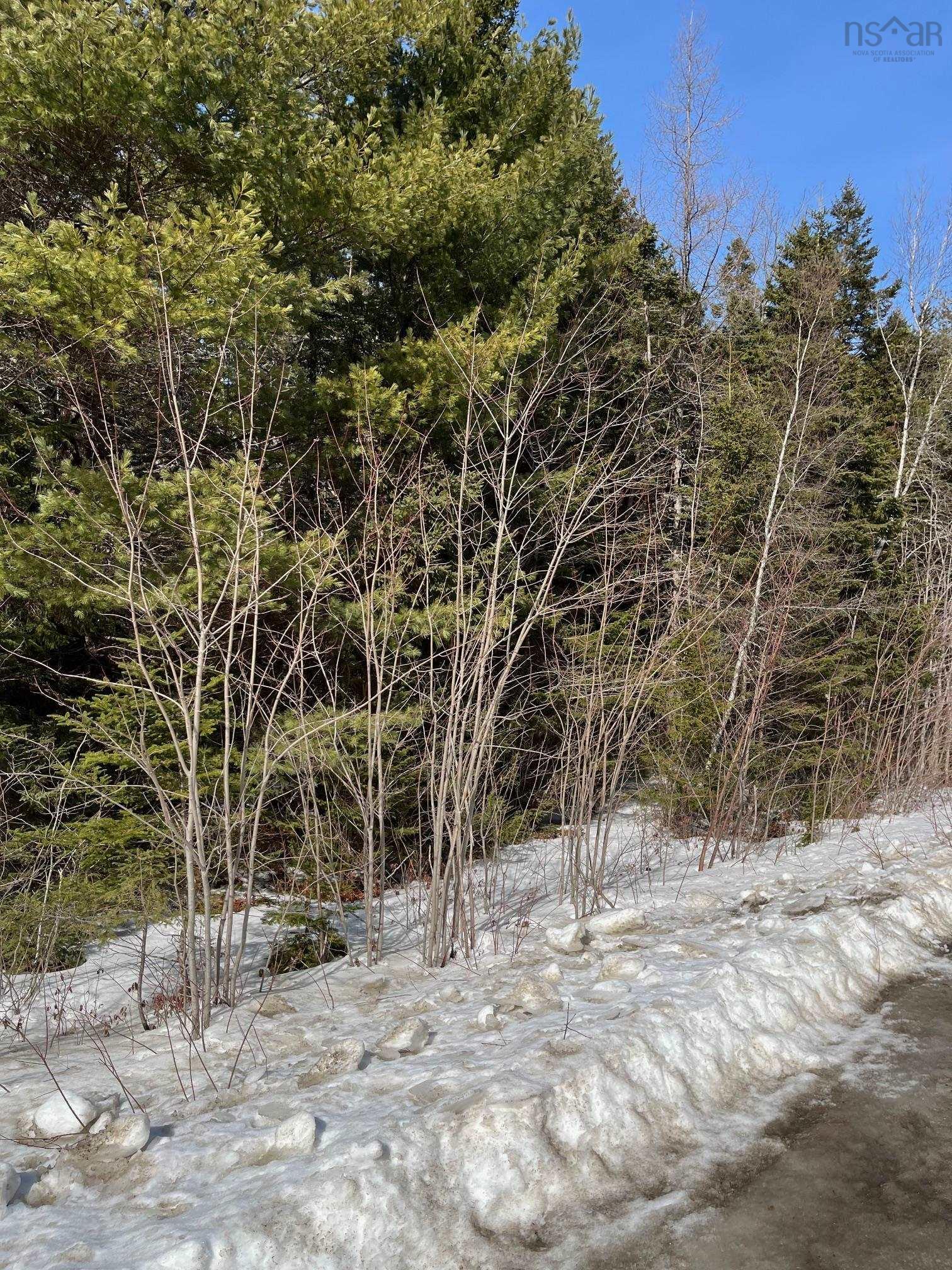 $49,000.00: 1 Highway 331, Petite Rivière