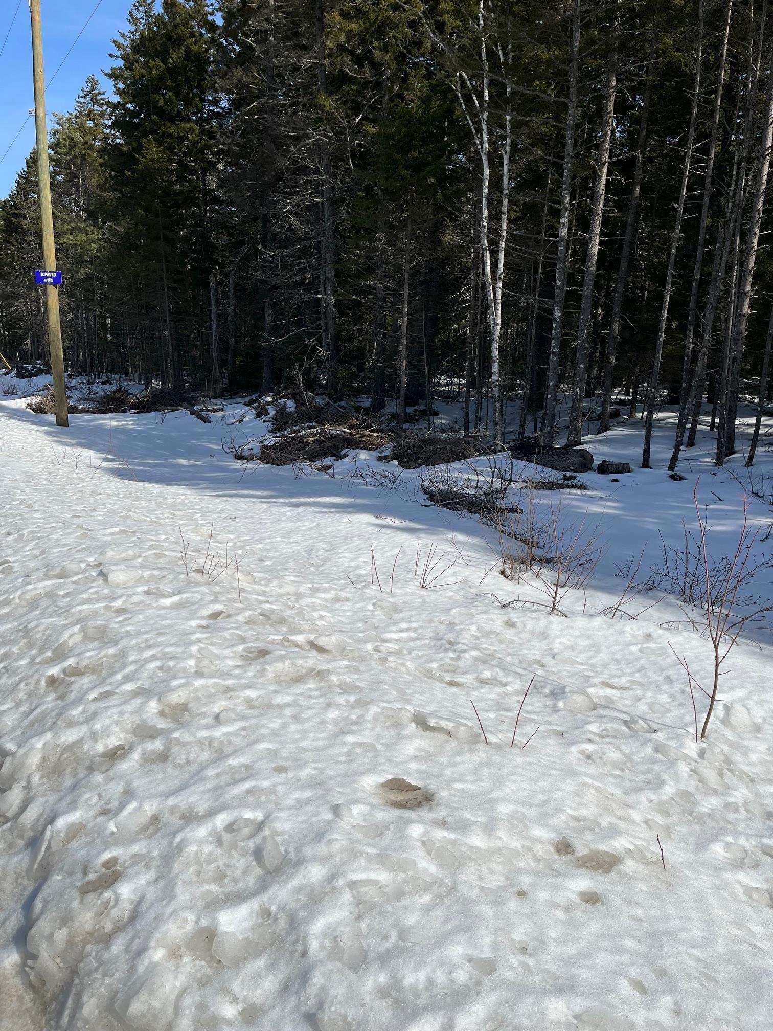 $49,000.00: 1 Highway 331, Petite Rivière