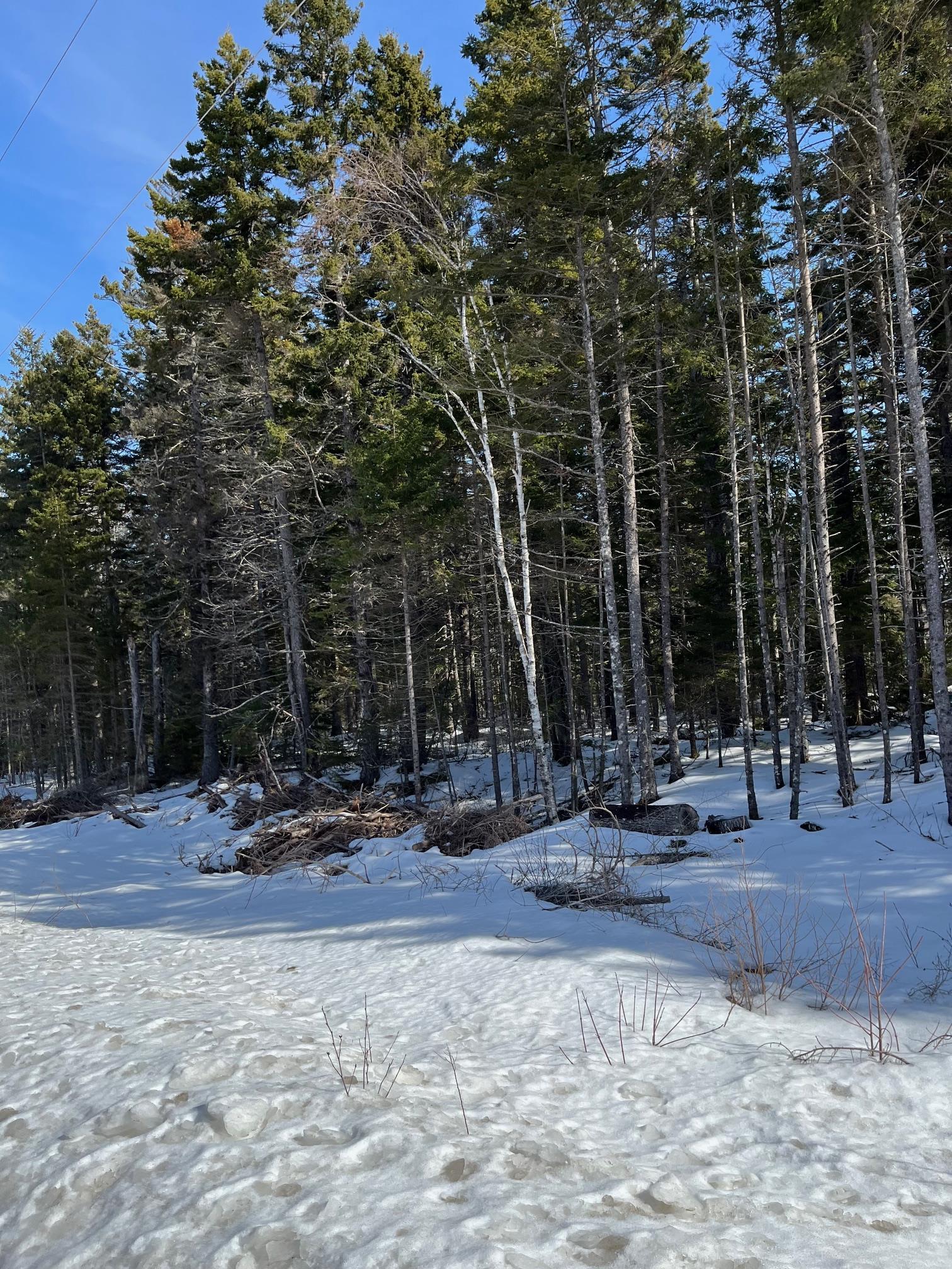 $29,000.00: 2 Highway 331, Petite Rivière