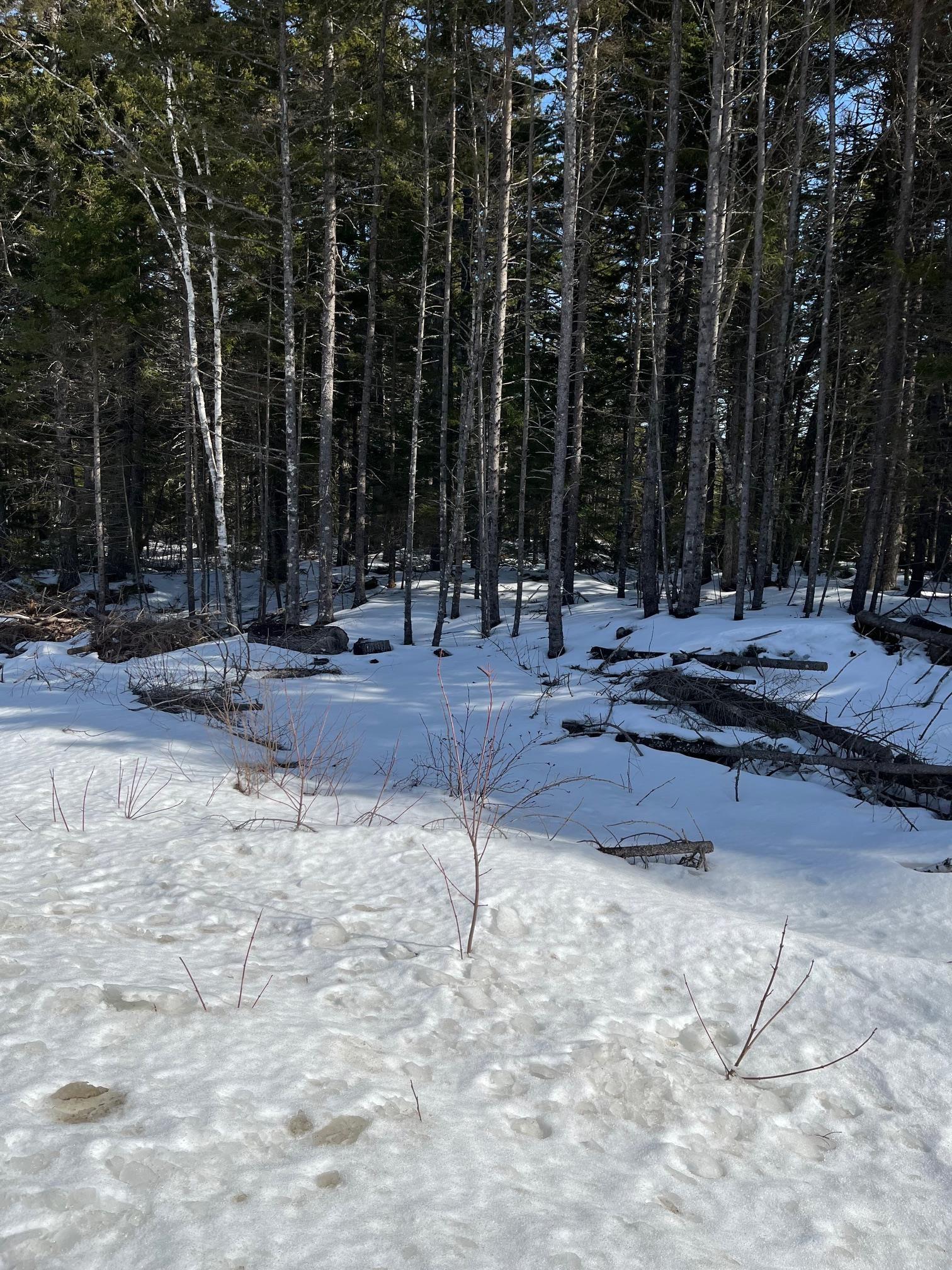 $29,000.00: 2 Highway 331, Petite Rivière