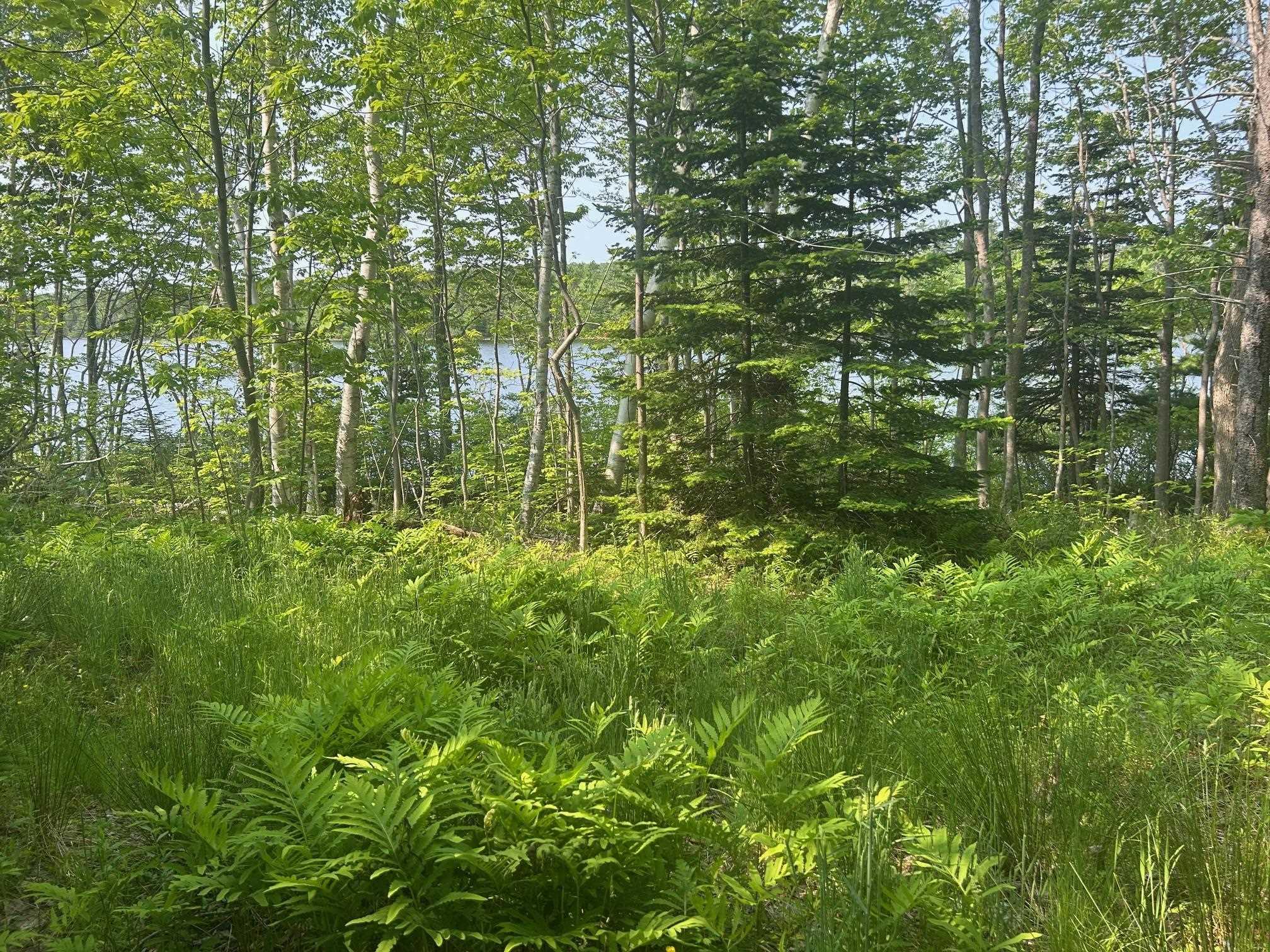 (Unit 1) 130 Everlina Lane, Windsor Junction, NS (MLS 202504041)