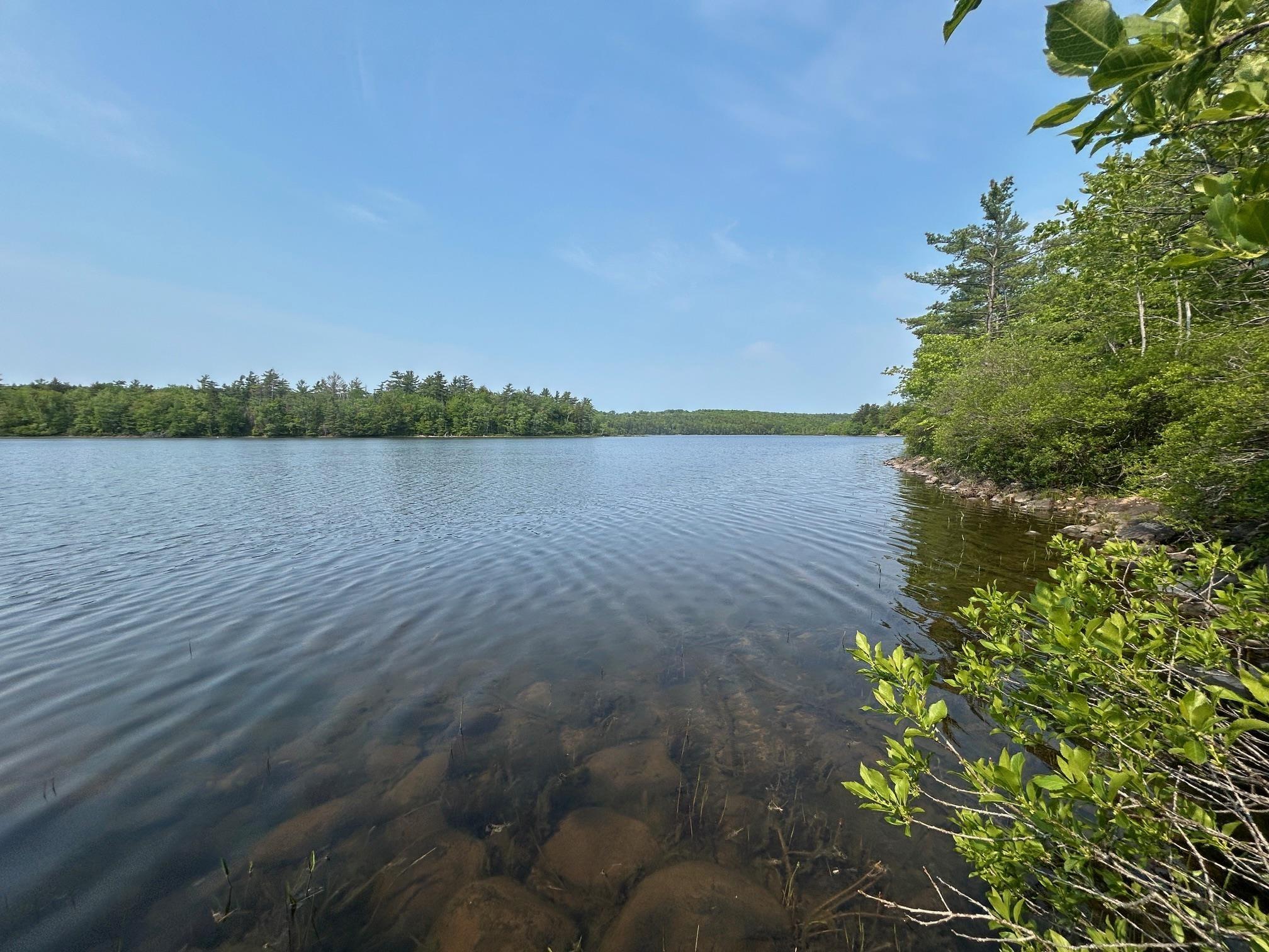 (Unit 1) 130 Everlina Lane, Windsor Junction, NS (MLS 202504041)