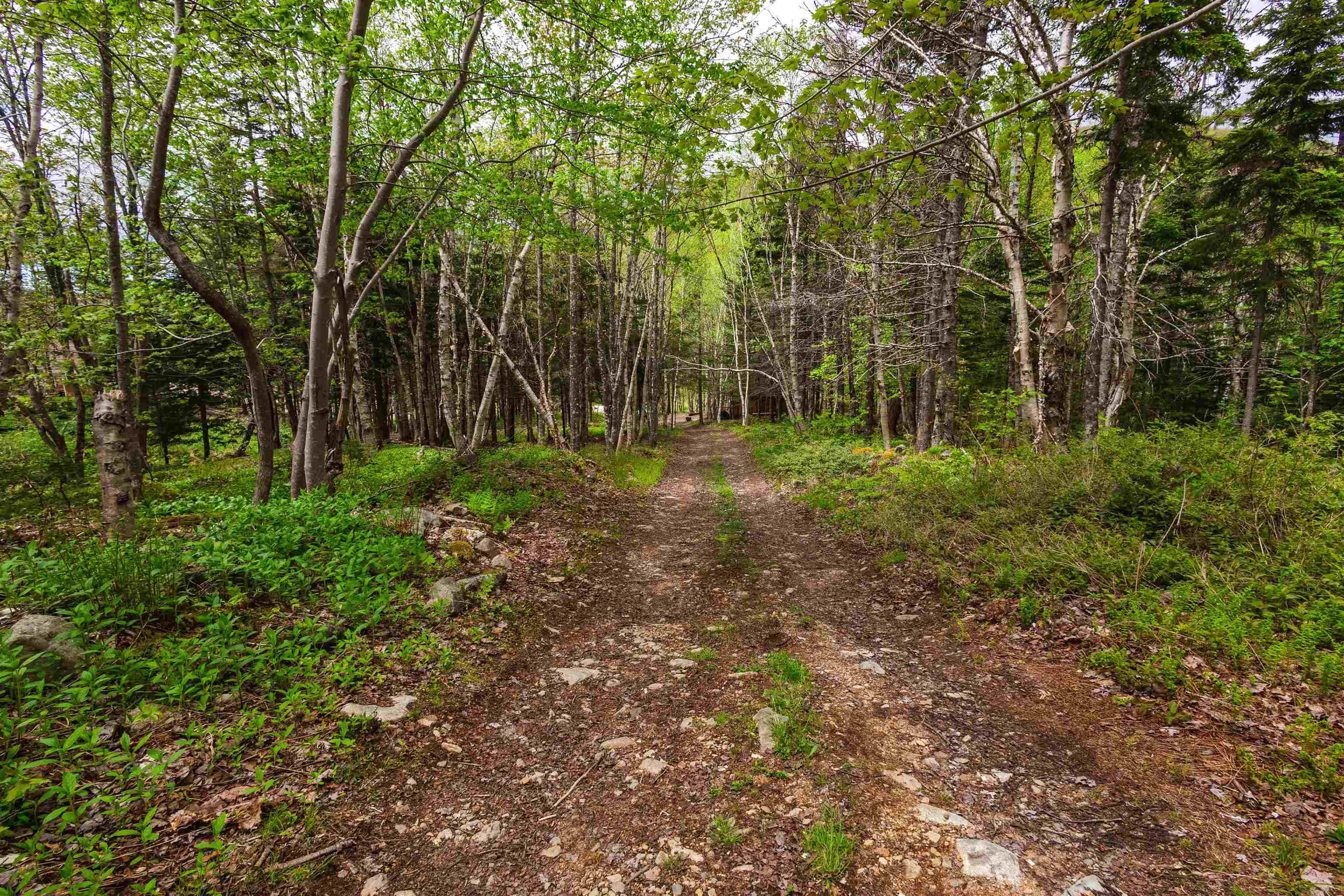 $389,500.00: 47403 Cabot Trail, Tarbot
