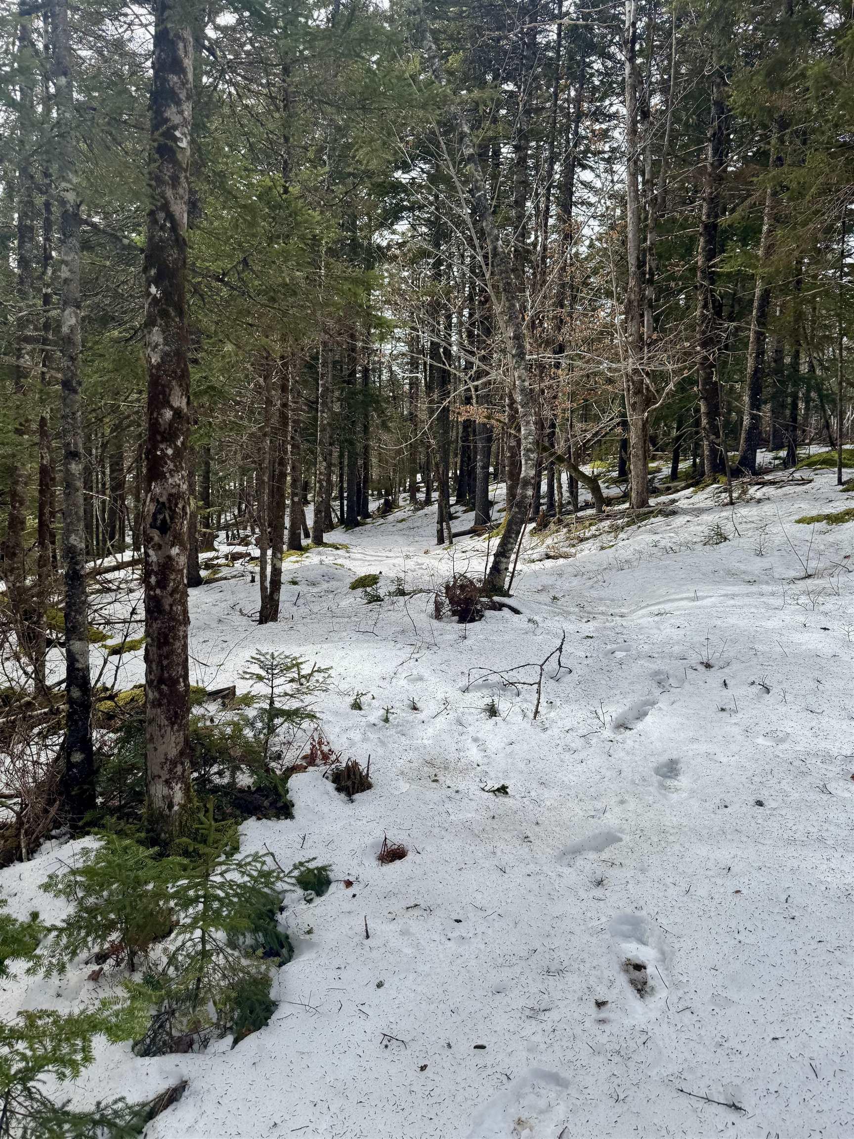 $129,500.00: Lot 11 Island View Drive, Middlewood