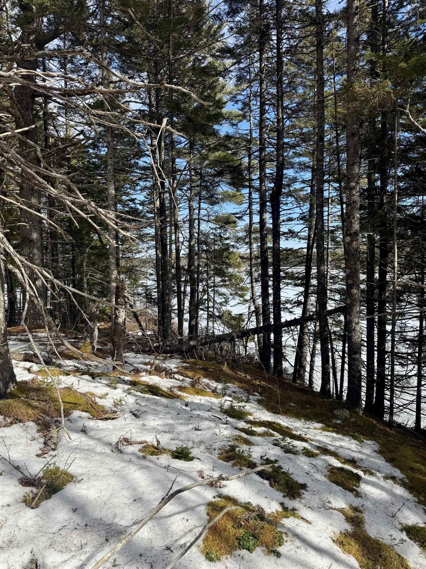 $129,500.00: Lot 11 Island View Drive, Middlewood
