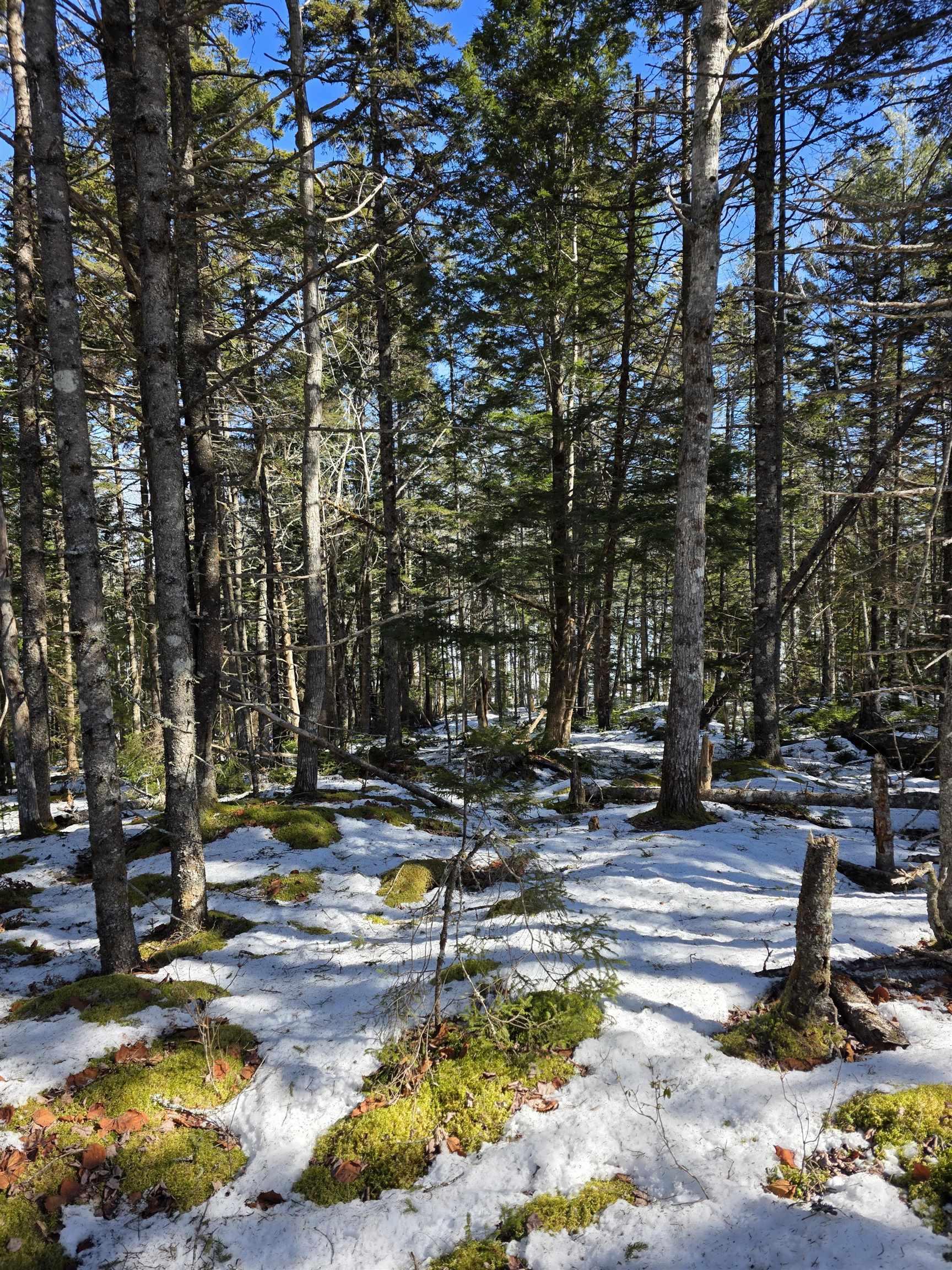 $42,900.00: Lot 14 Island View Drive, Middlewood