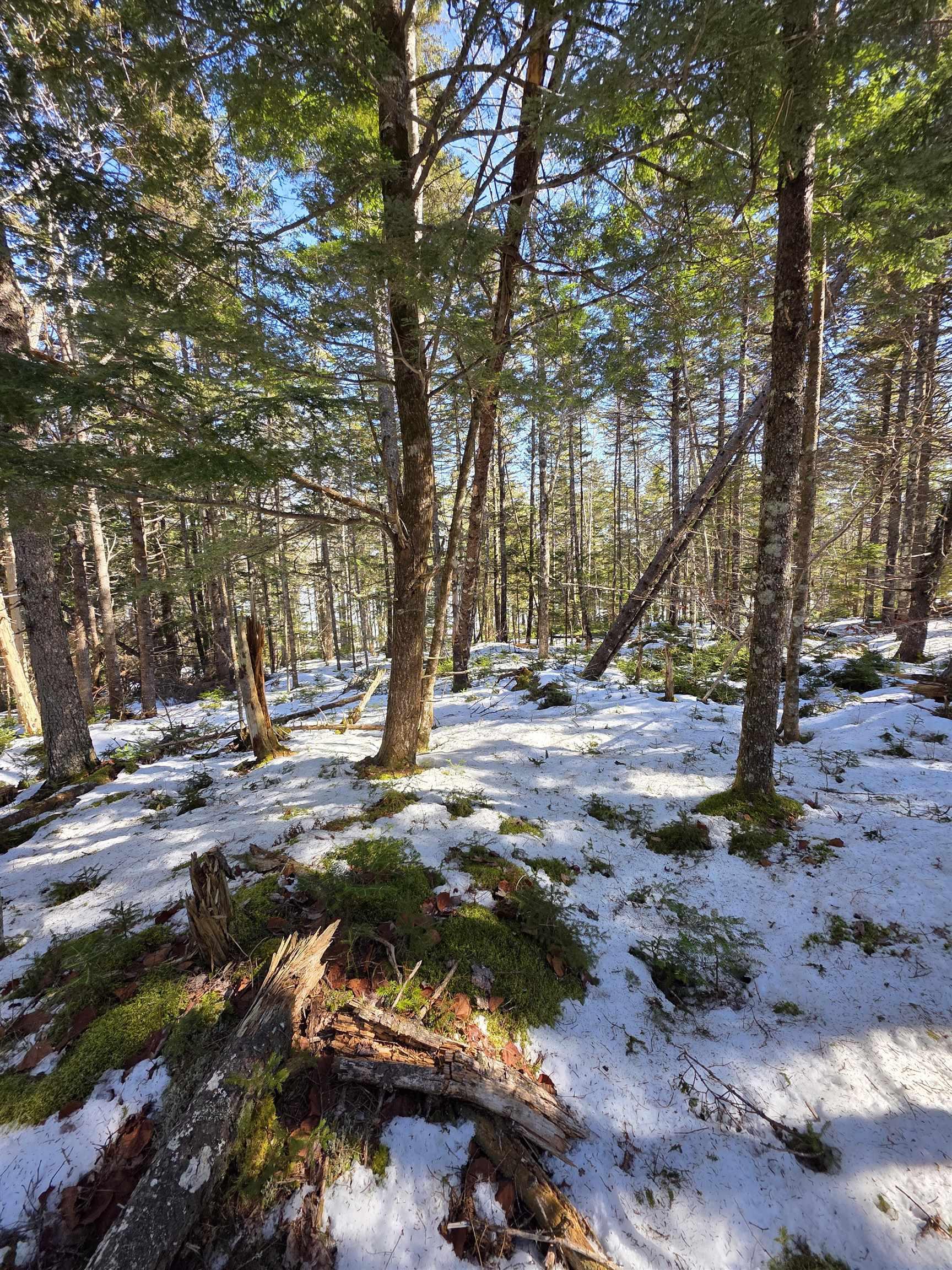 $42,900.00: Lot 14 Island View Drive, Middlewood