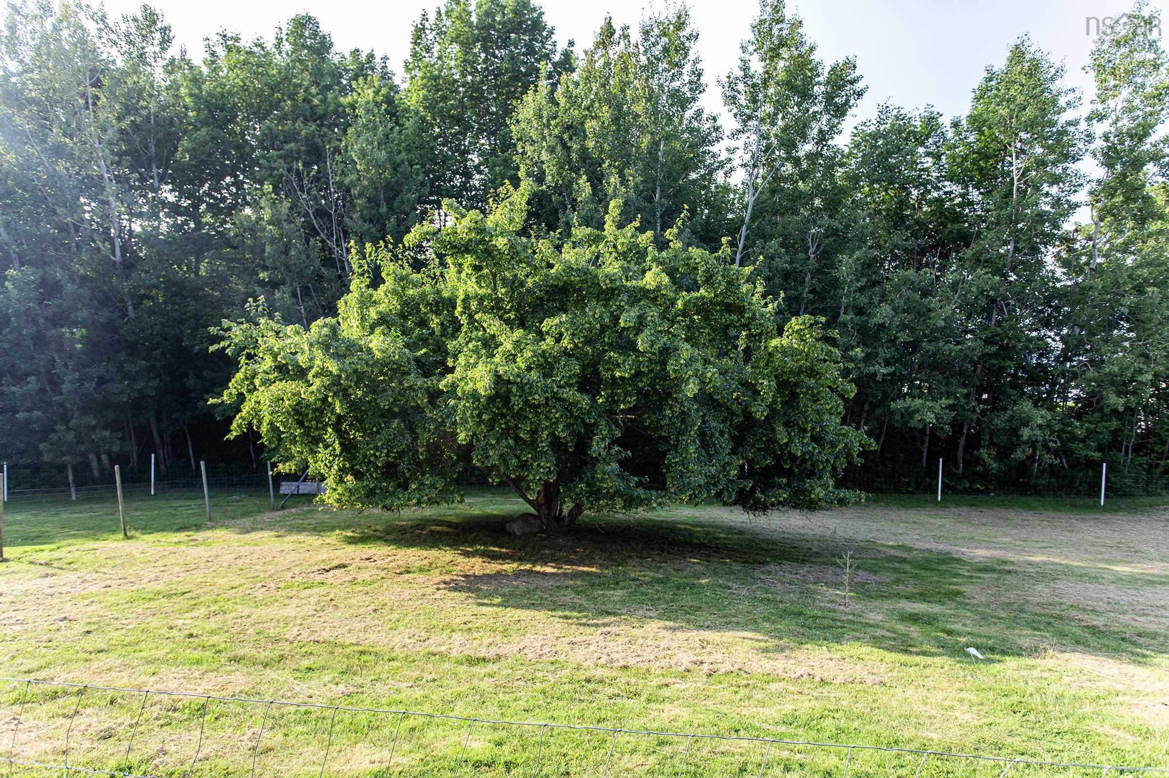 $550,000.00: 1732 Meadowvale Road, Harmony