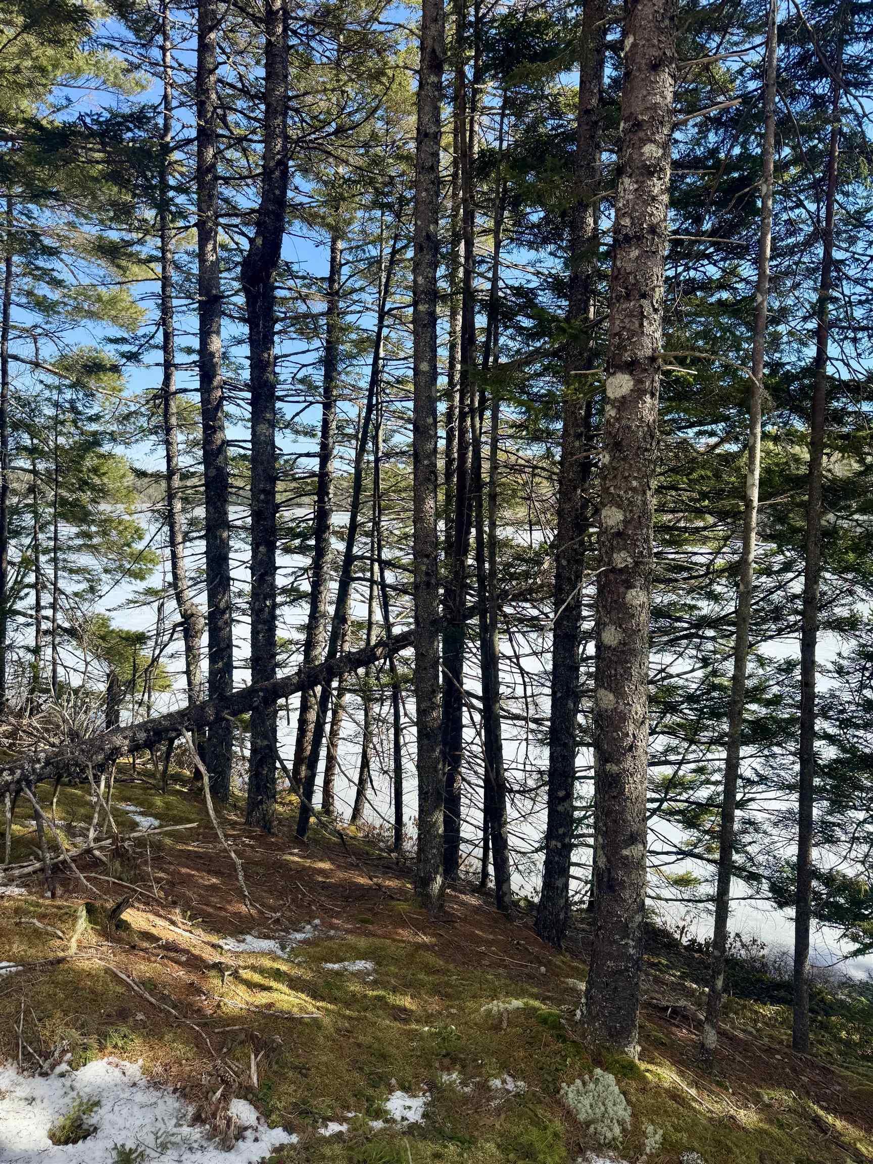 $142,500.00: Lot 13 Island View Drive, Middlewood